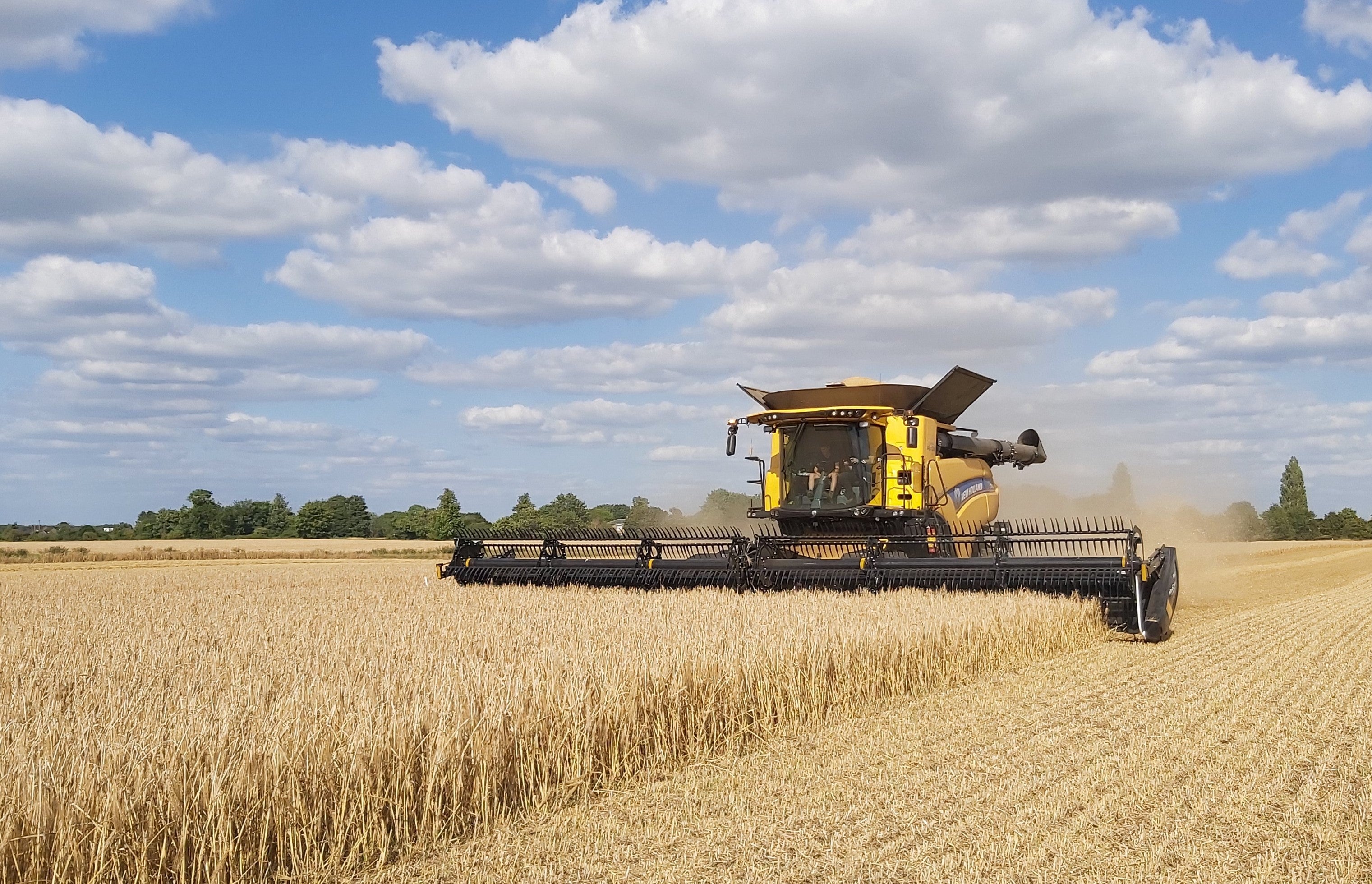 Farming & Equestrian