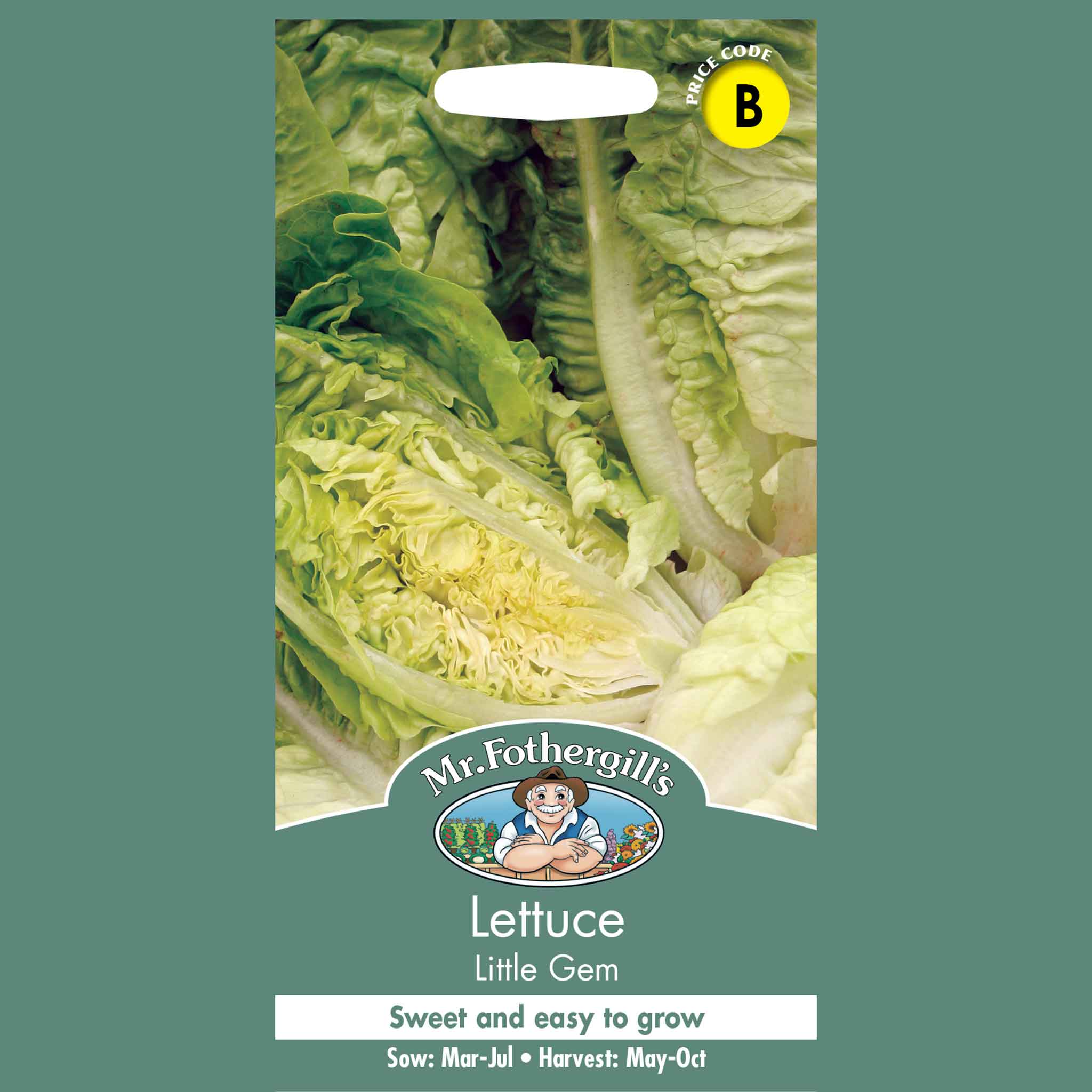 10109-Lettuce-Little-Gem