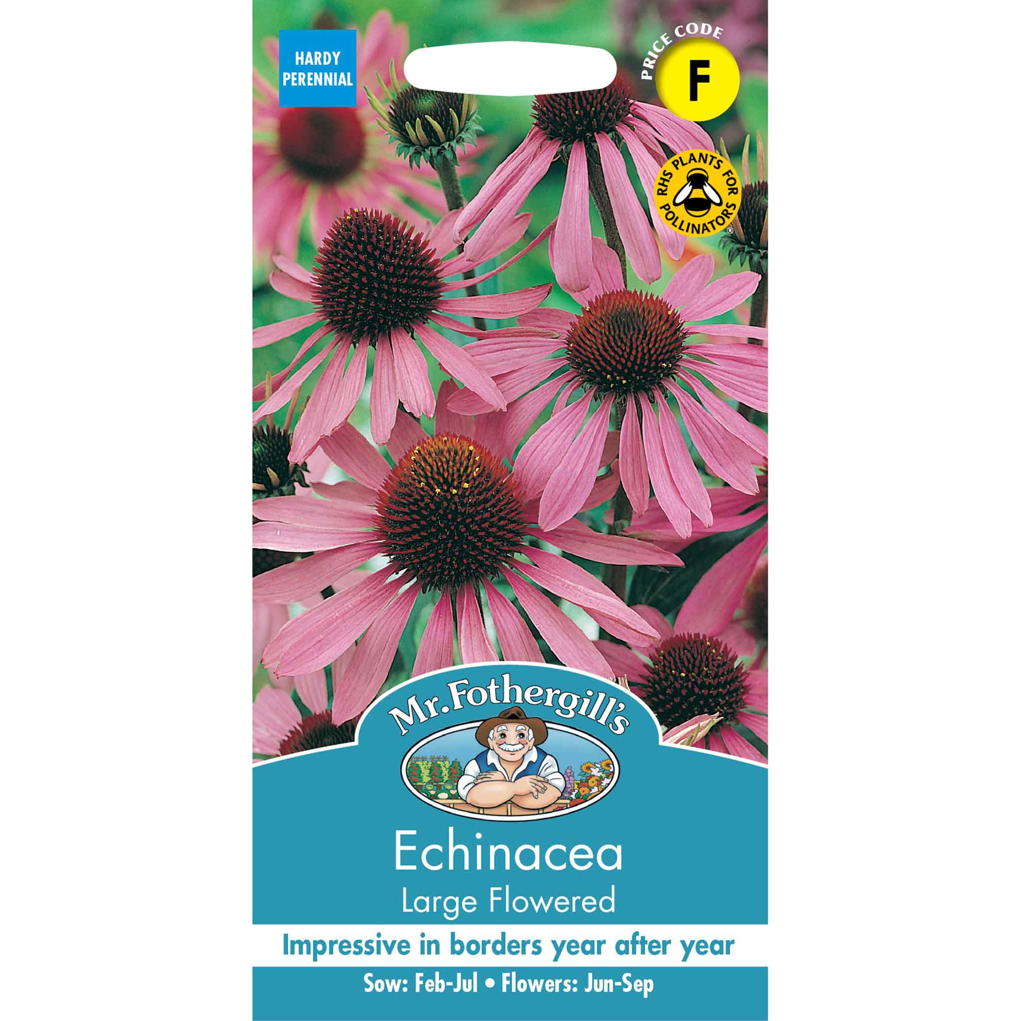 10214-Echinacea-Large-Flowered