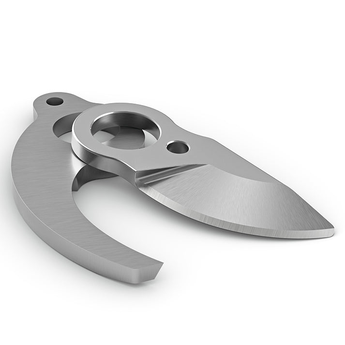 117481_ASA20_HQ_P_2023-11_0011_EU-usableRoWCROP