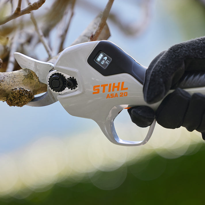 117631_ASA20-CAMPAIGN-SPRING-EU_HQ_P_2023-11_0008_EU-usableRoWCROP