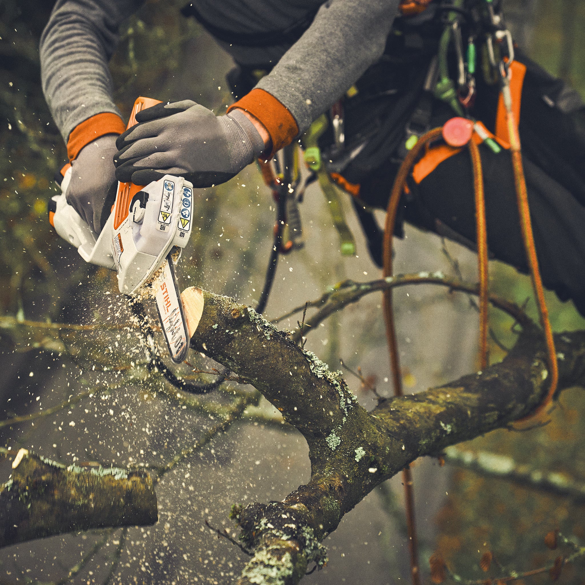 118655_GTA40-CAMPAIGN-TREECARE_HQ_P_2024-01_0002_Global-EU---usable-RoW