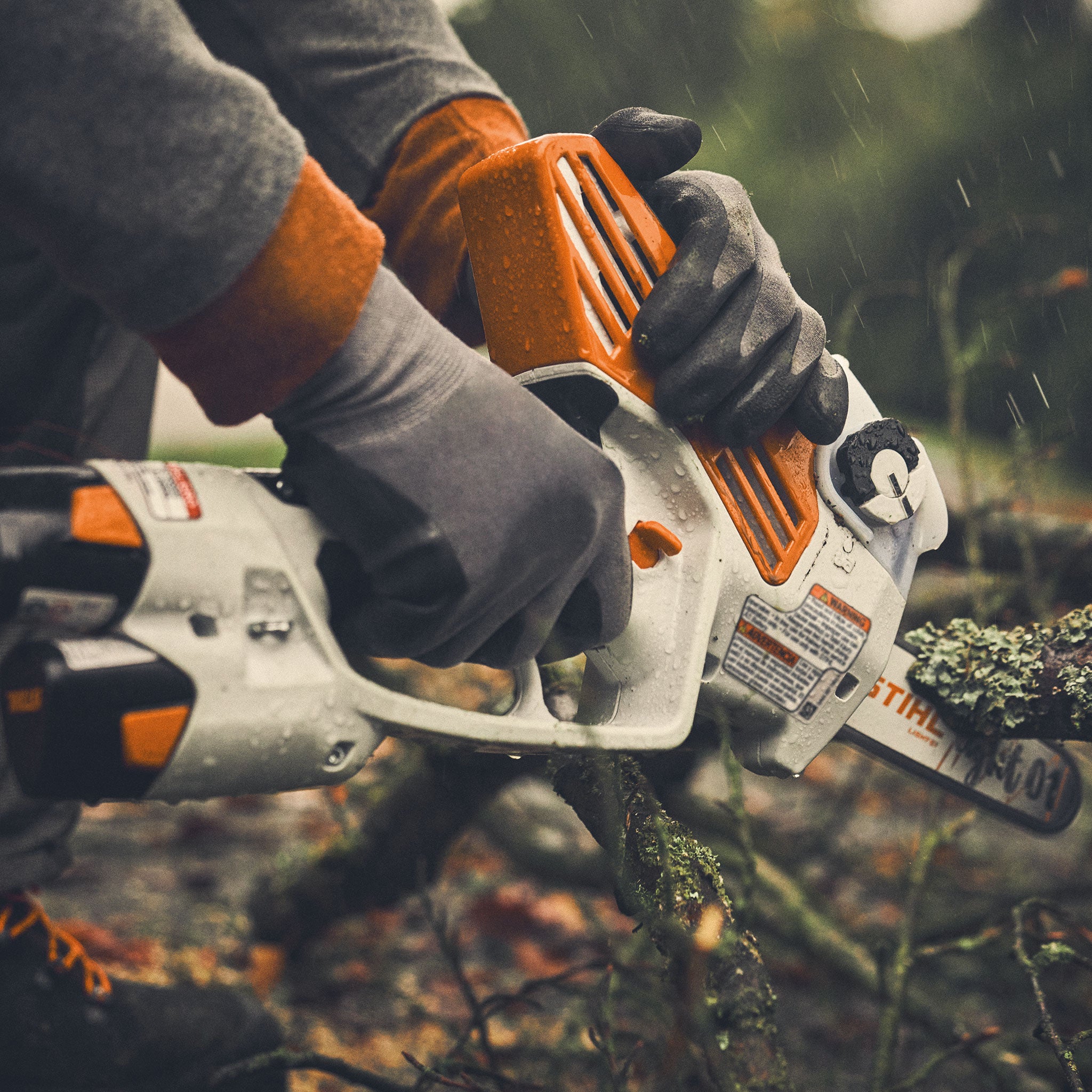 118658_GTA40-CAMPAIGN-TREECARE_HQ_P_2024-01_0004_Global-EU---usable-RoW