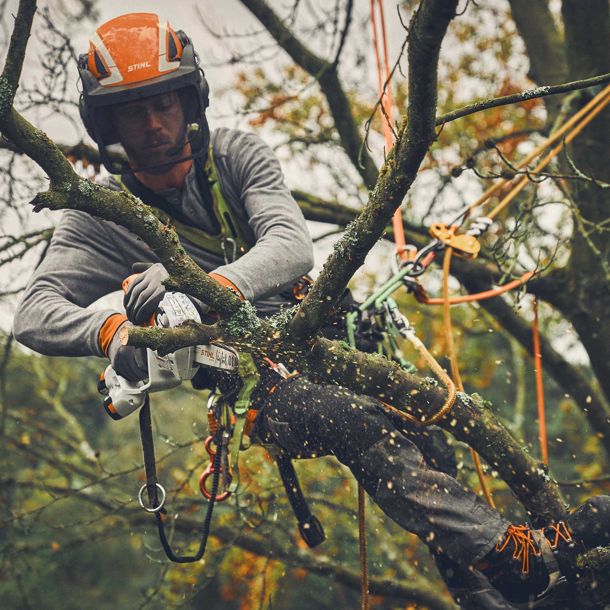 120162_GTA40-CAMPAIGN-TREECARE_HQ_P_2024-01_0009_Global-EU---usable-RoW