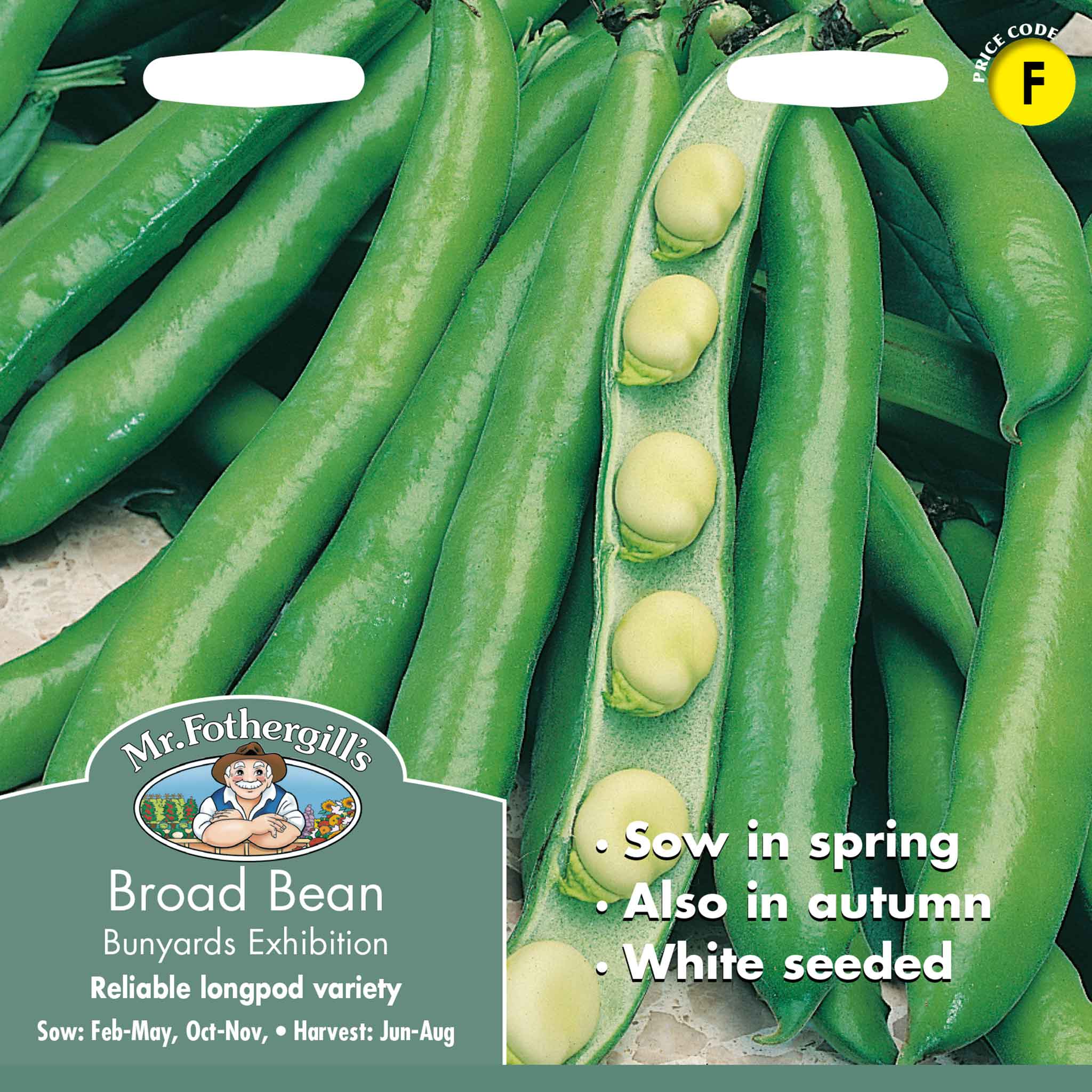 12049-Broad-Bean-Bunyards-Exhibition