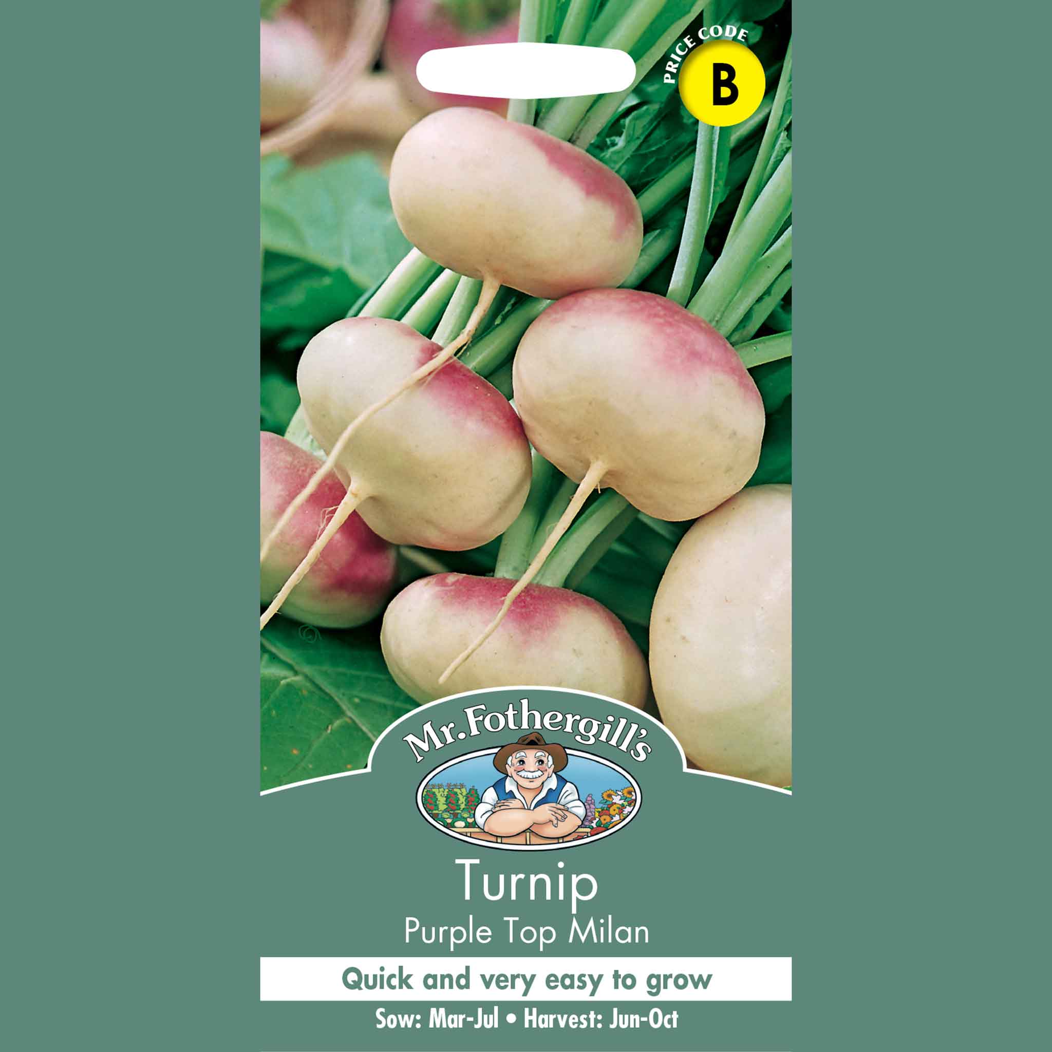 12058-Turnip-Purple-Top-Milan