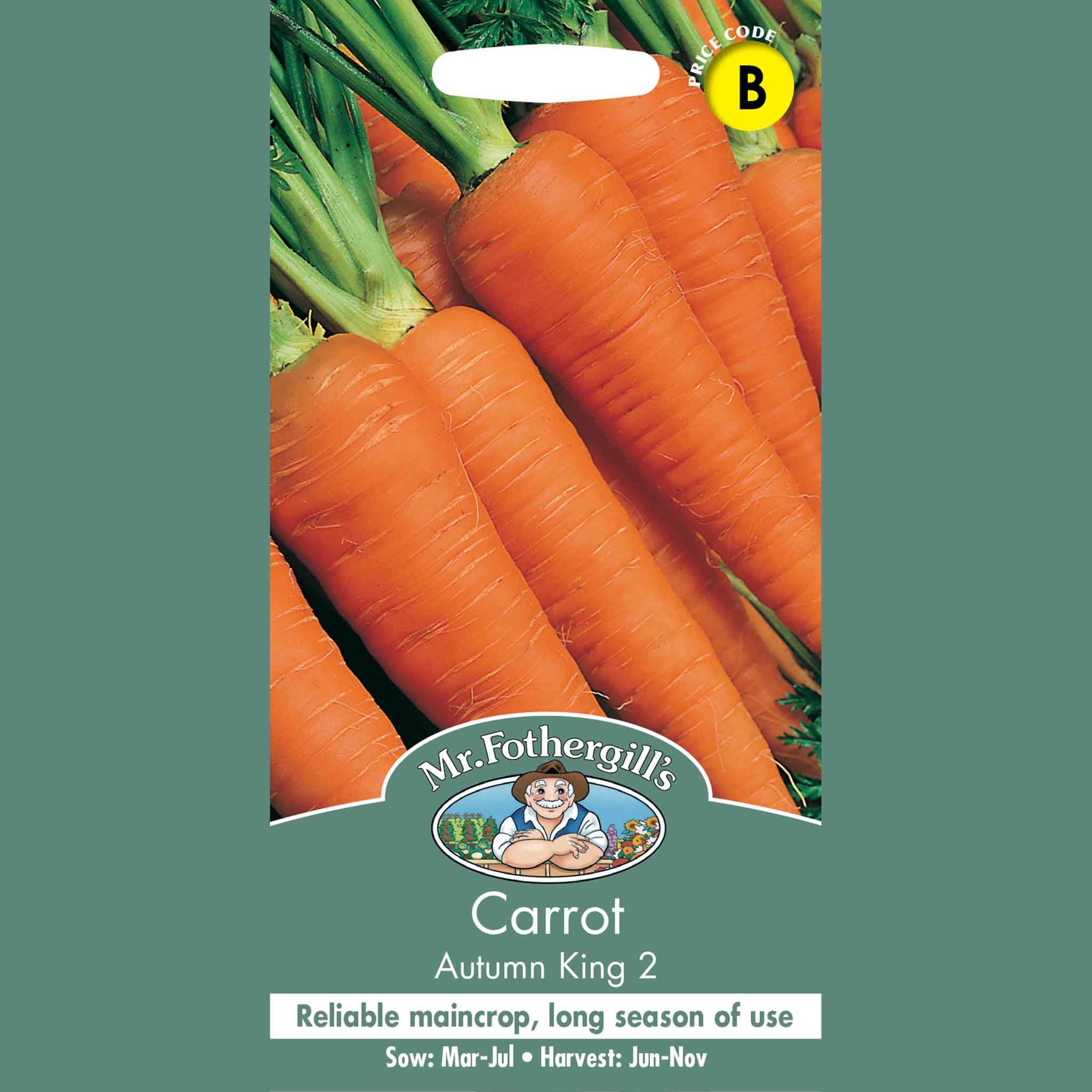 12072-Carrot-Autumn-King-2