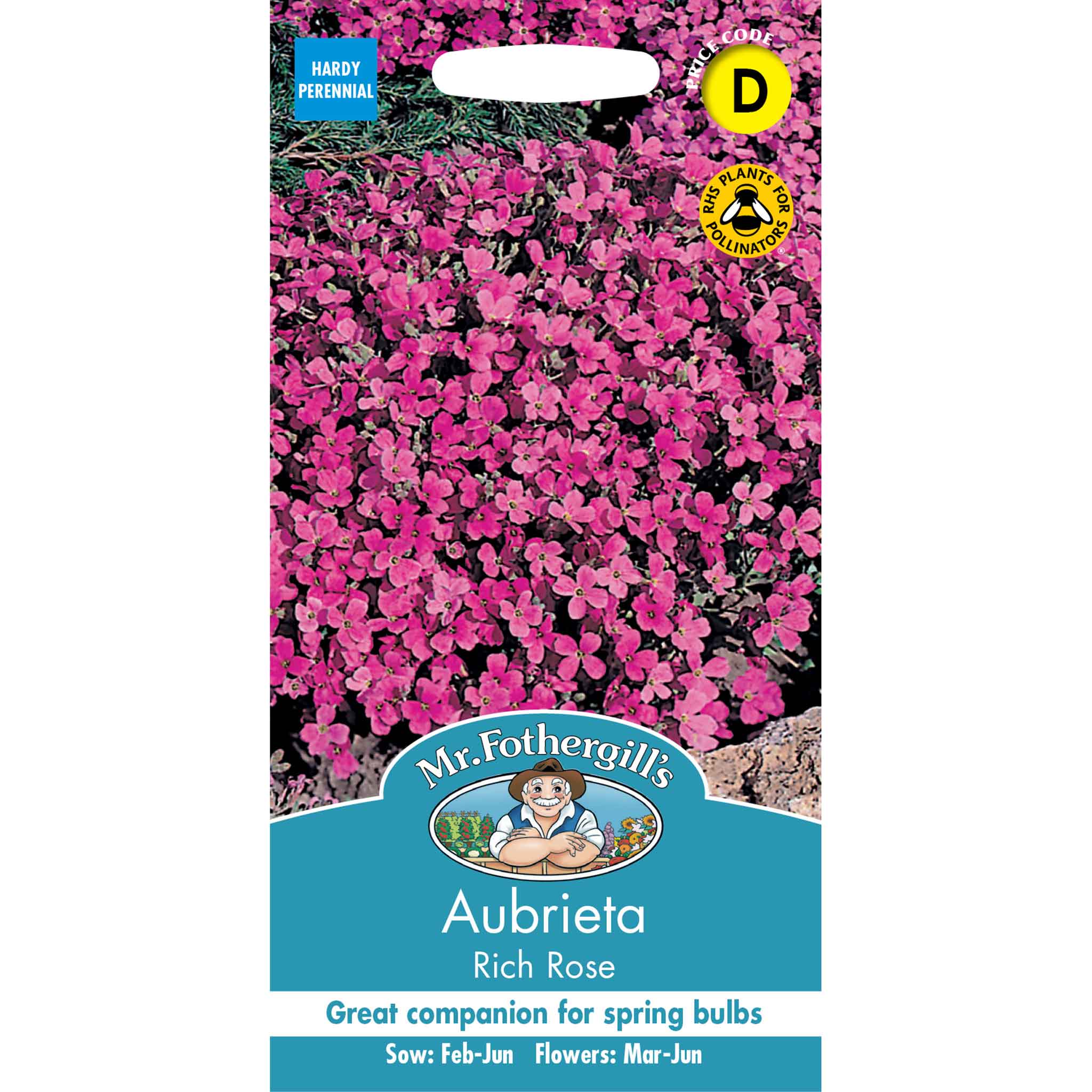 12269-Aubrieta-Rich-Rose