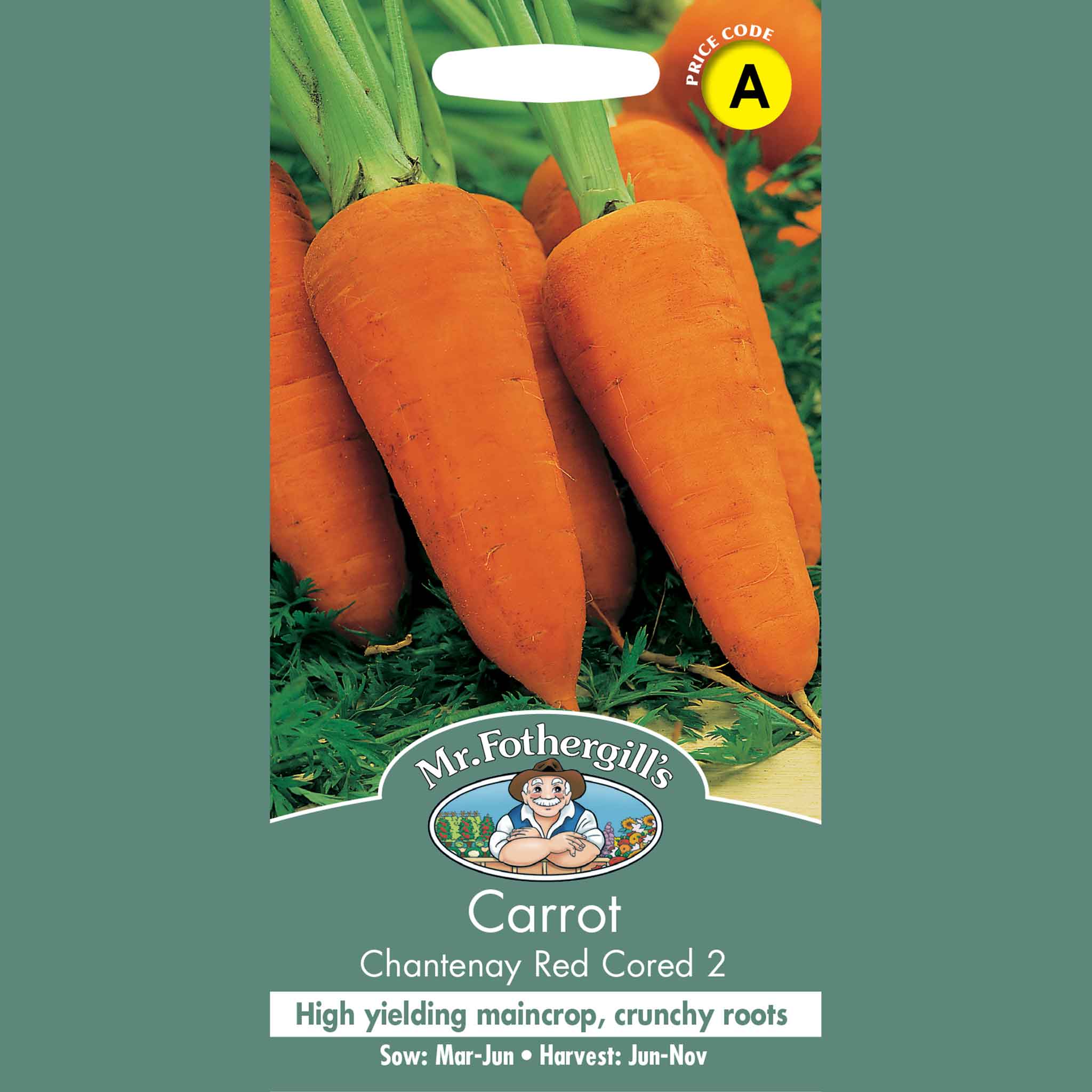 12491-Carrot-Chantenay-Red-Cored-2