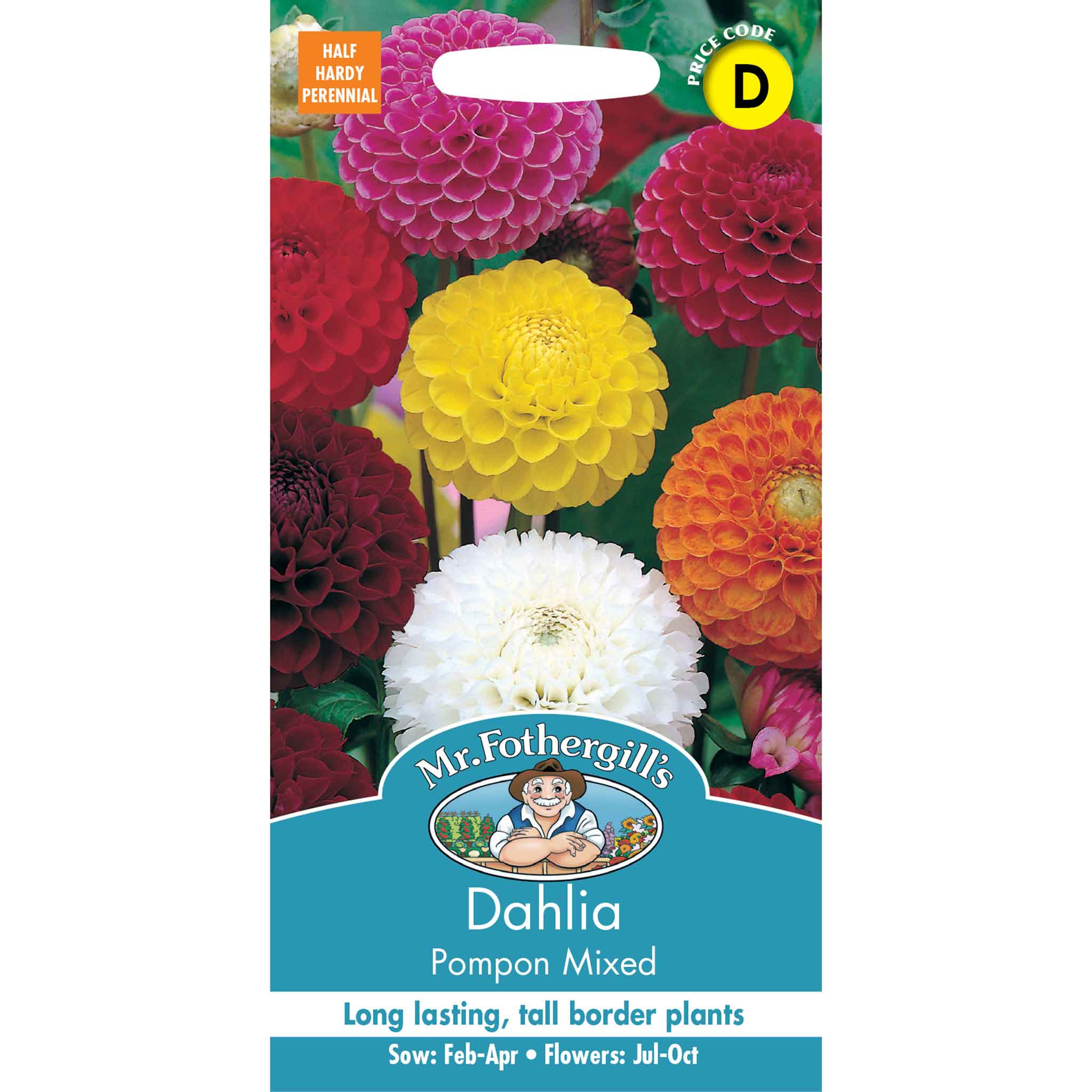 12825-Dahlia-Pompon-Mixed