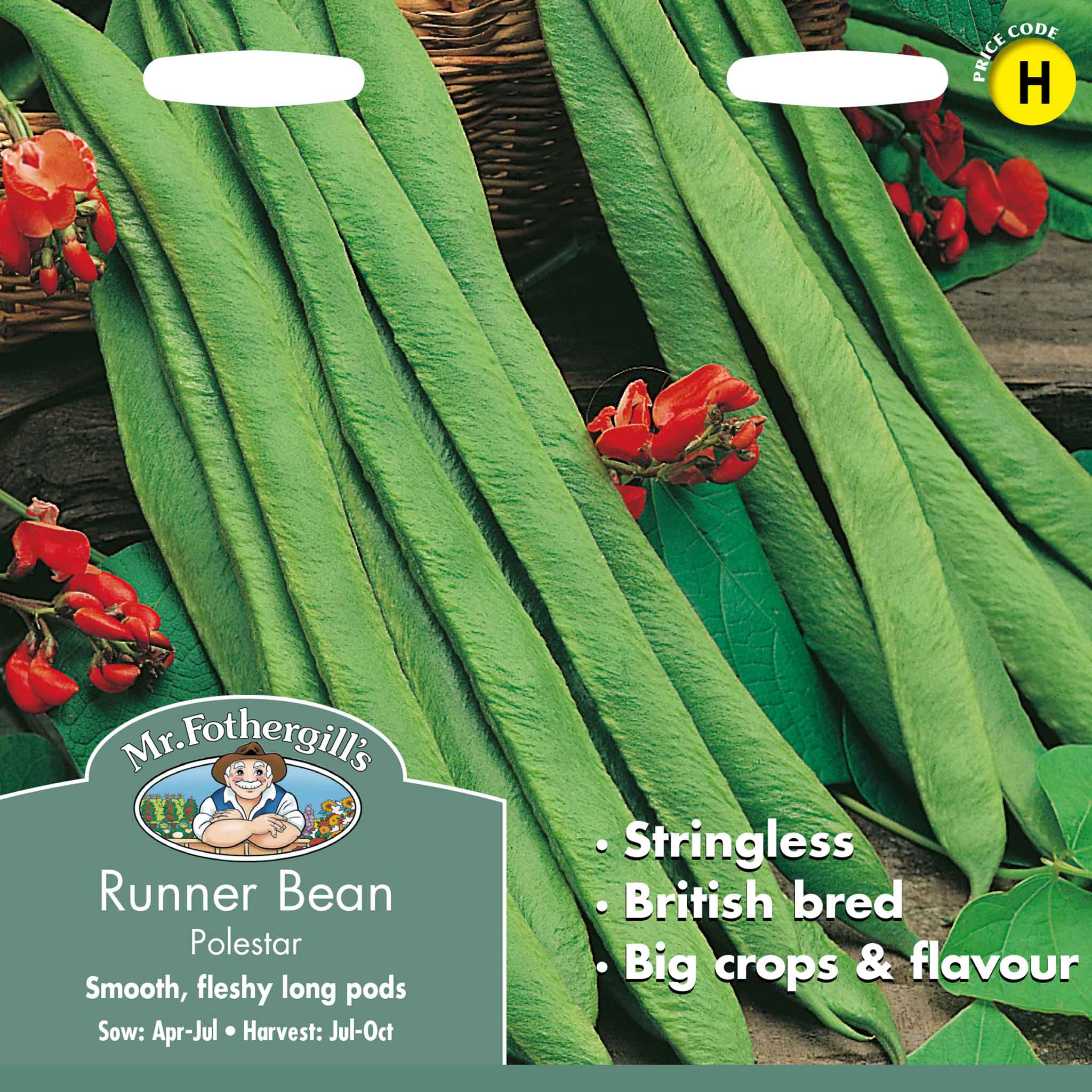 13016-Runner-Bean-Polestar-(Stringless)