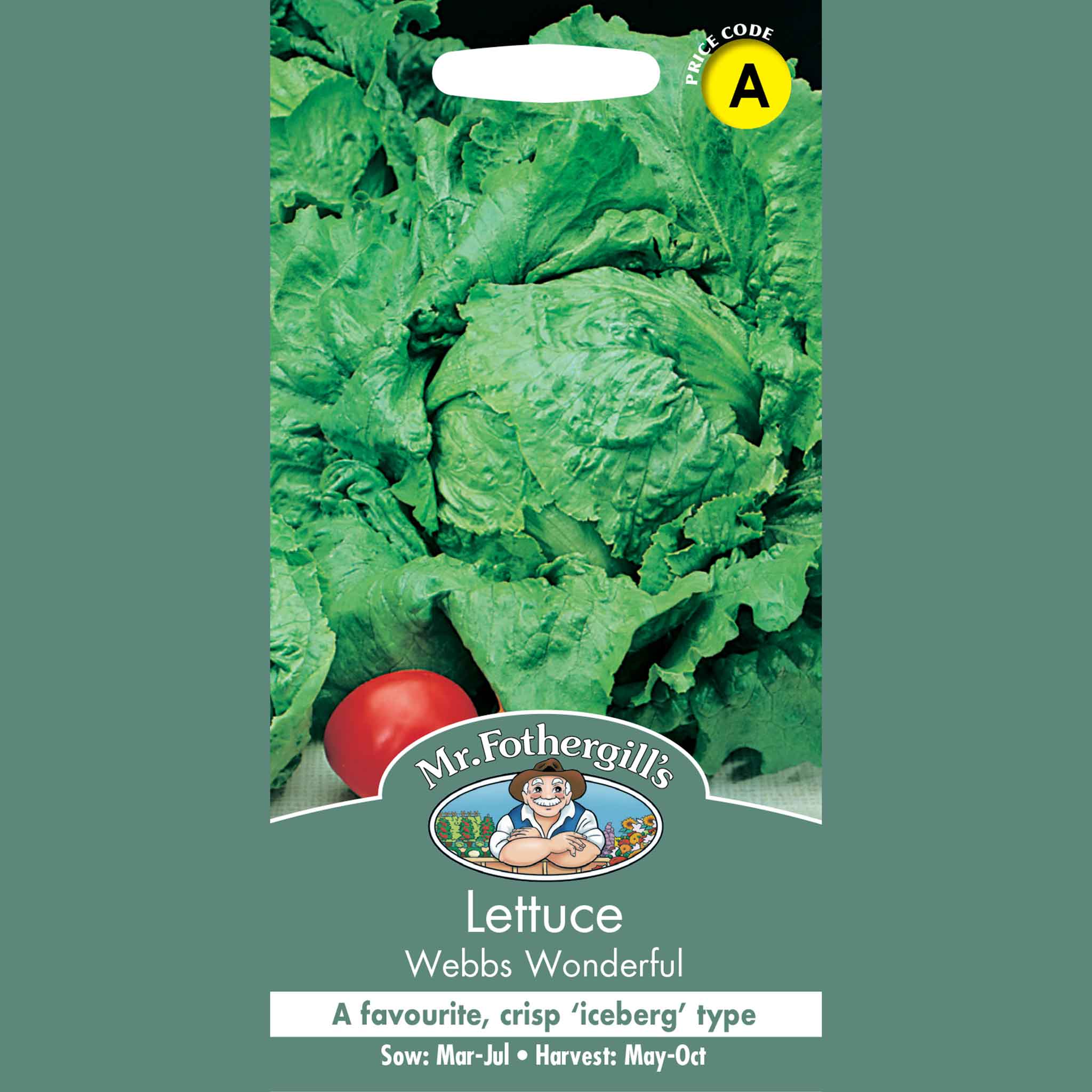 13351-Lettuce-Webbs-Wonderful