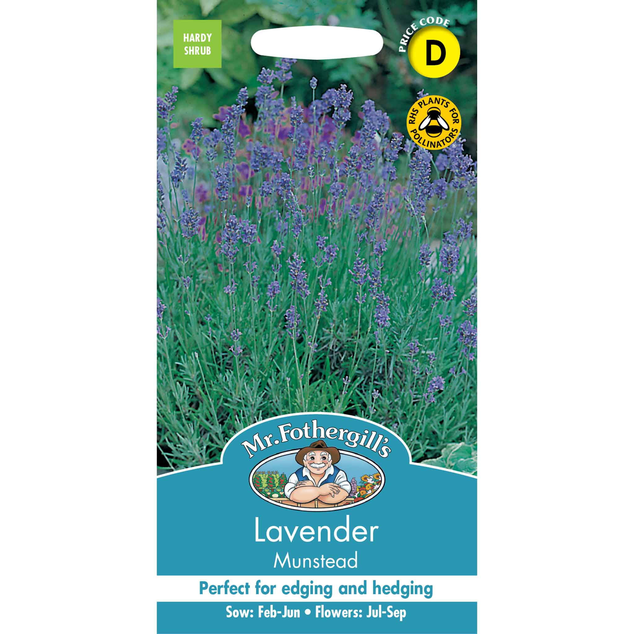 13680-Lavender-Munstead-Strain