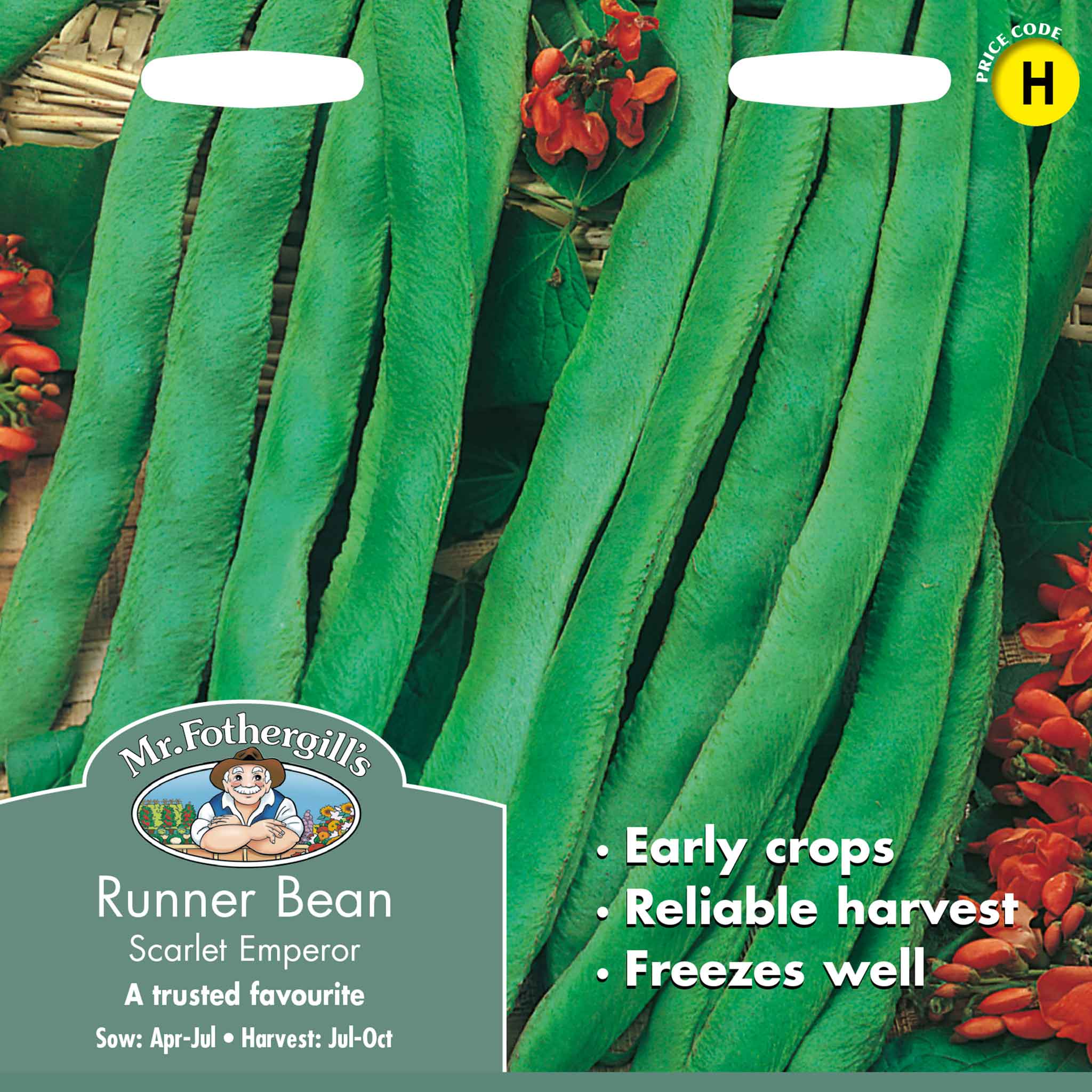 13714-Runner-Bean-Scarlet-Emperor