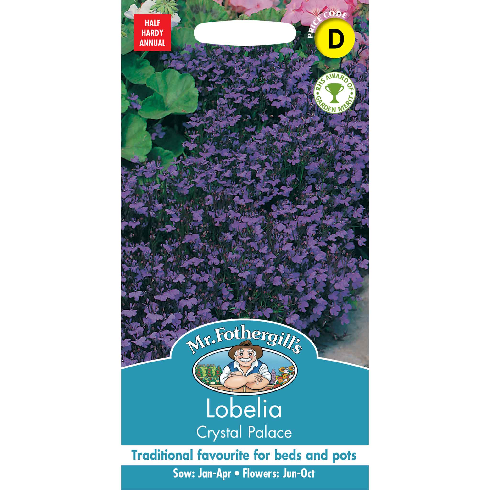 13785-Lobelia-Crystal-Palace