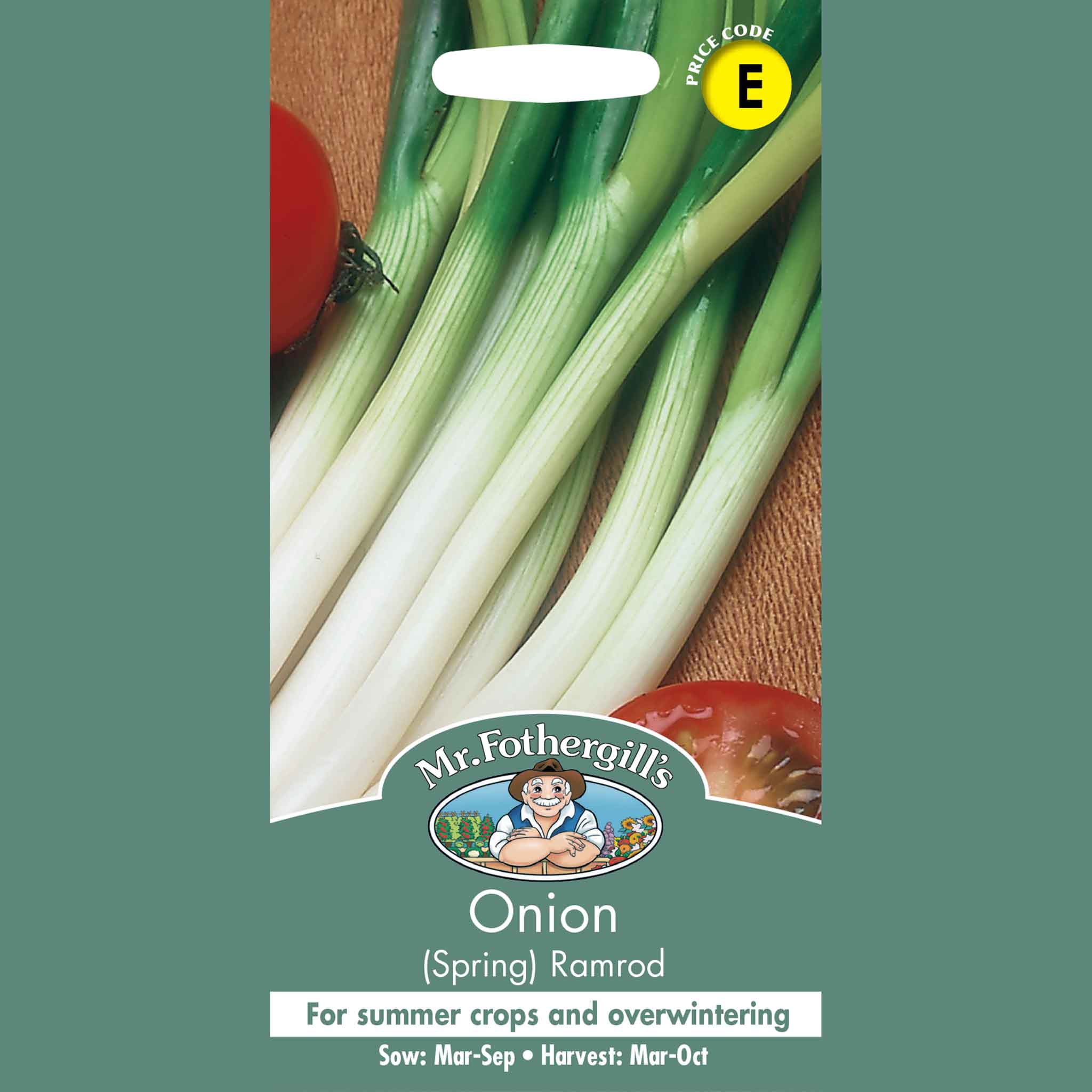 13917-Onion-(Spring)-Ramrod