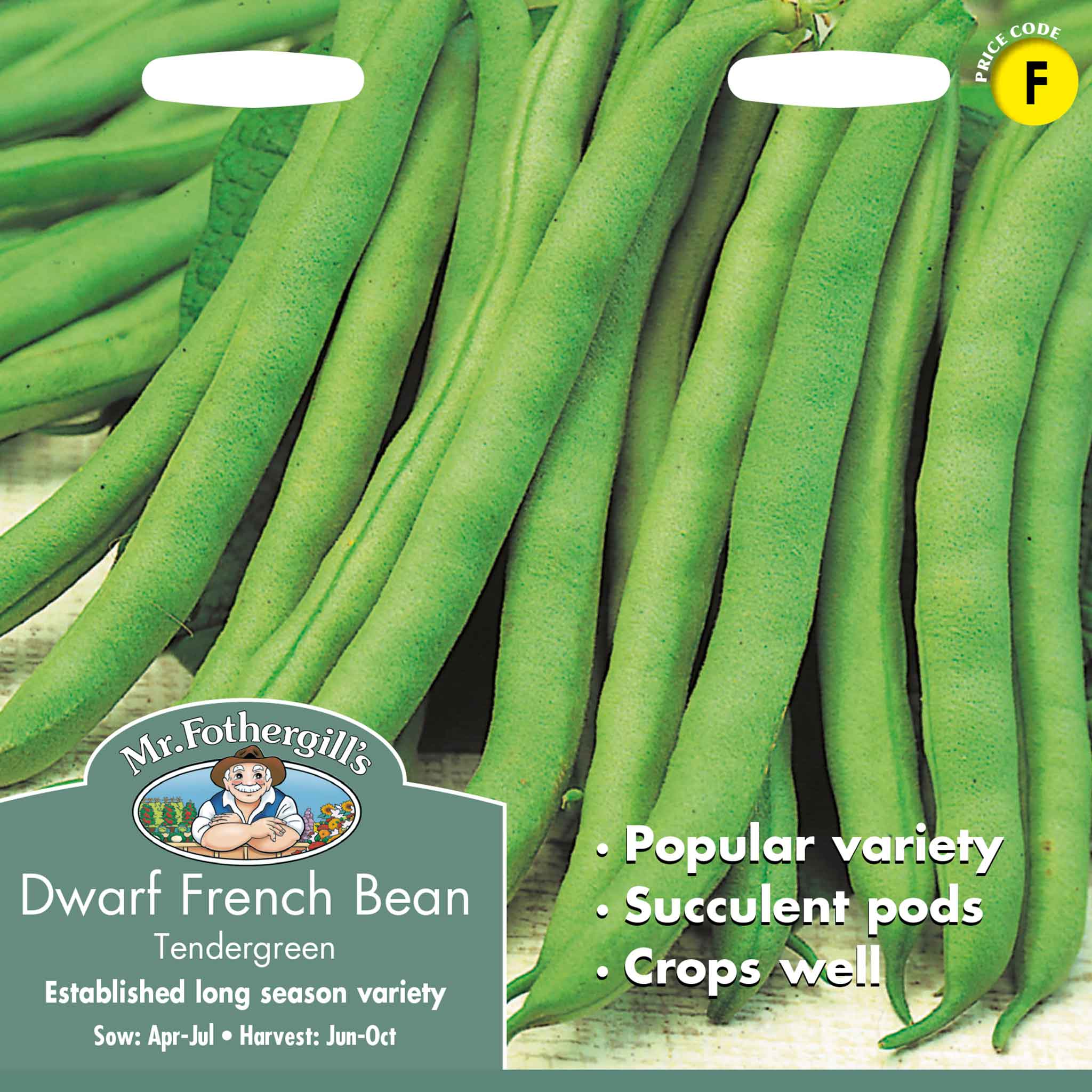 14011-Dwarf-French-Bean-Tendergreen