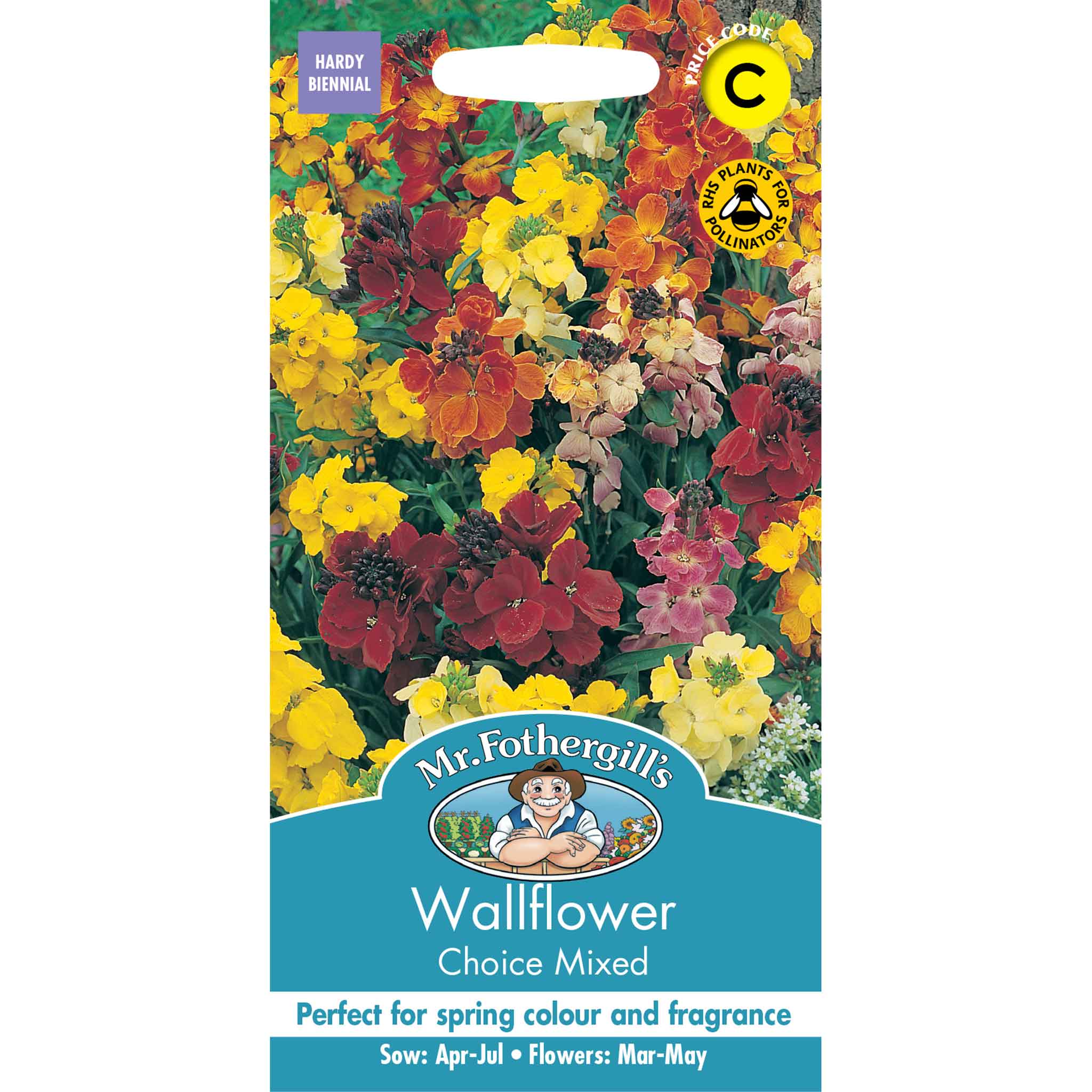 14059-Wallflower-Choice-Mixed