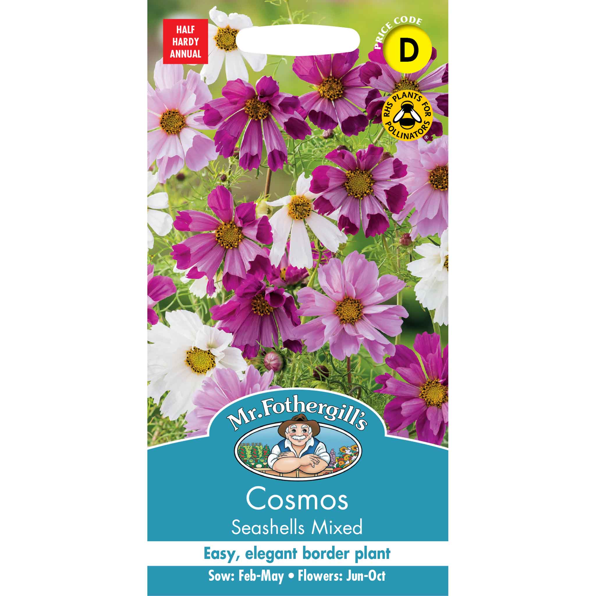 15224-Cosmos-Seashells-Mixed