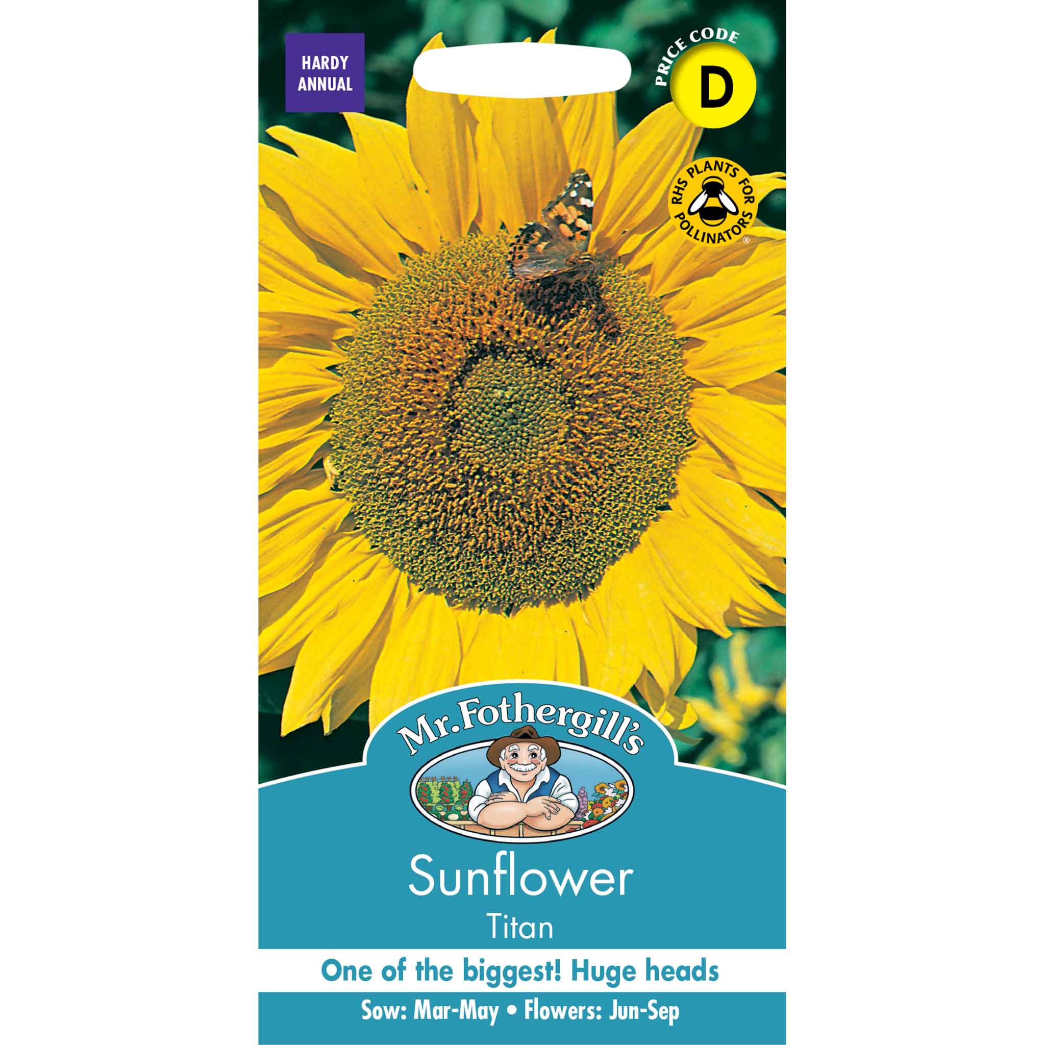 17294-Sunflower-Titan