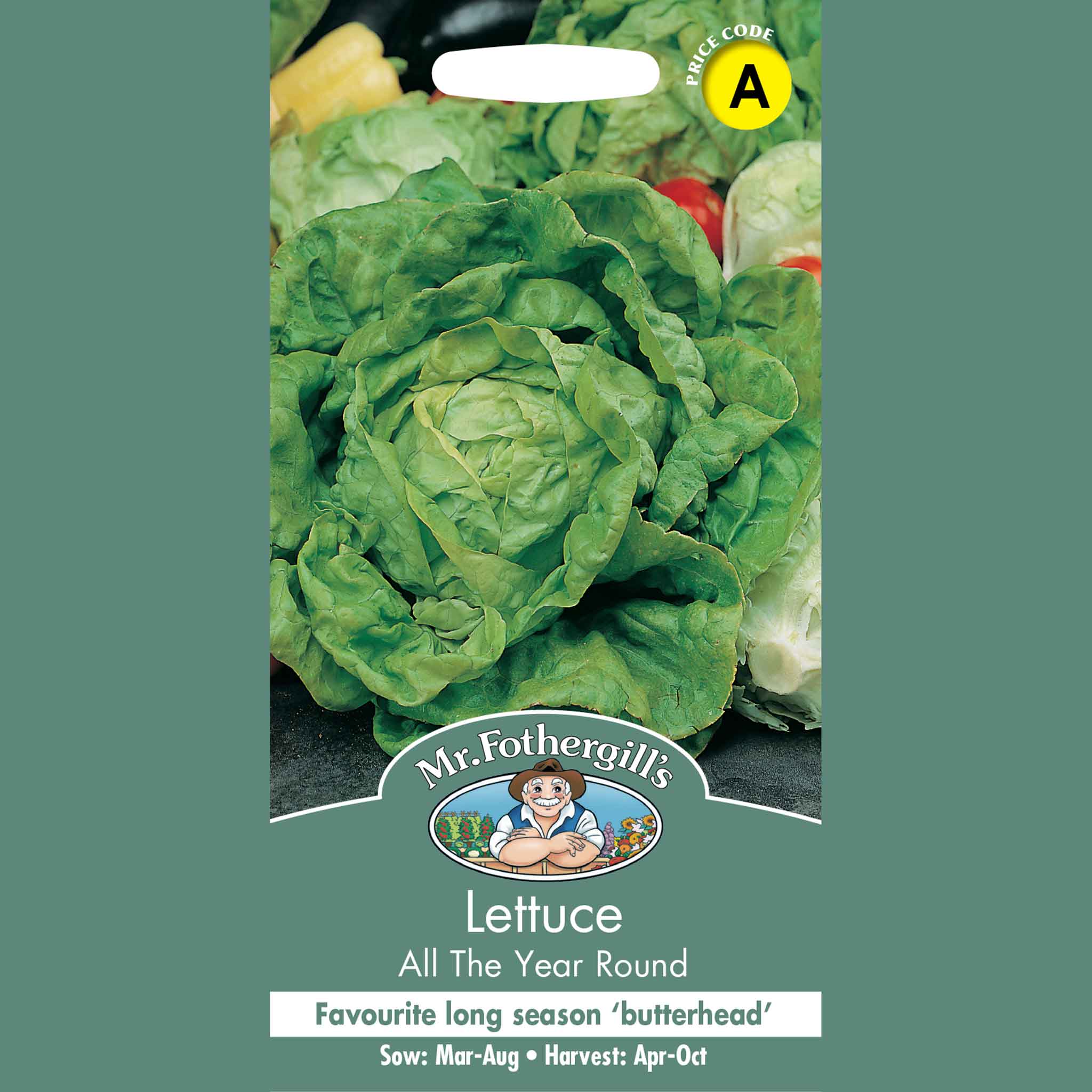 17354-Lettuce-All-the-Year-round