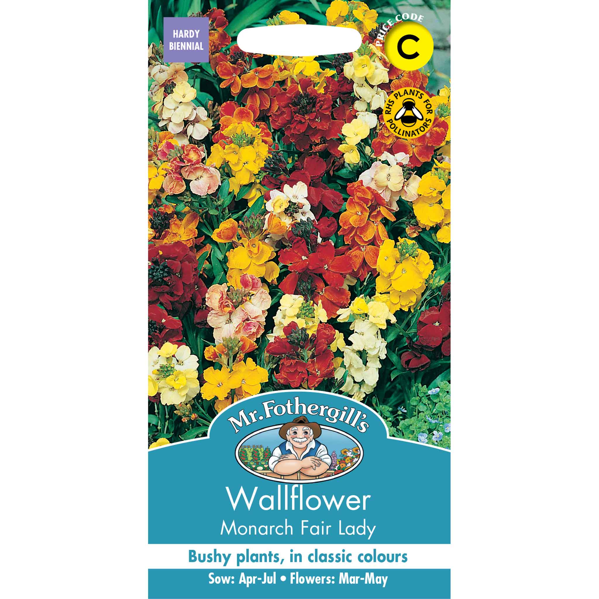 18349-Wallflower-Monarch-Fair-Lady