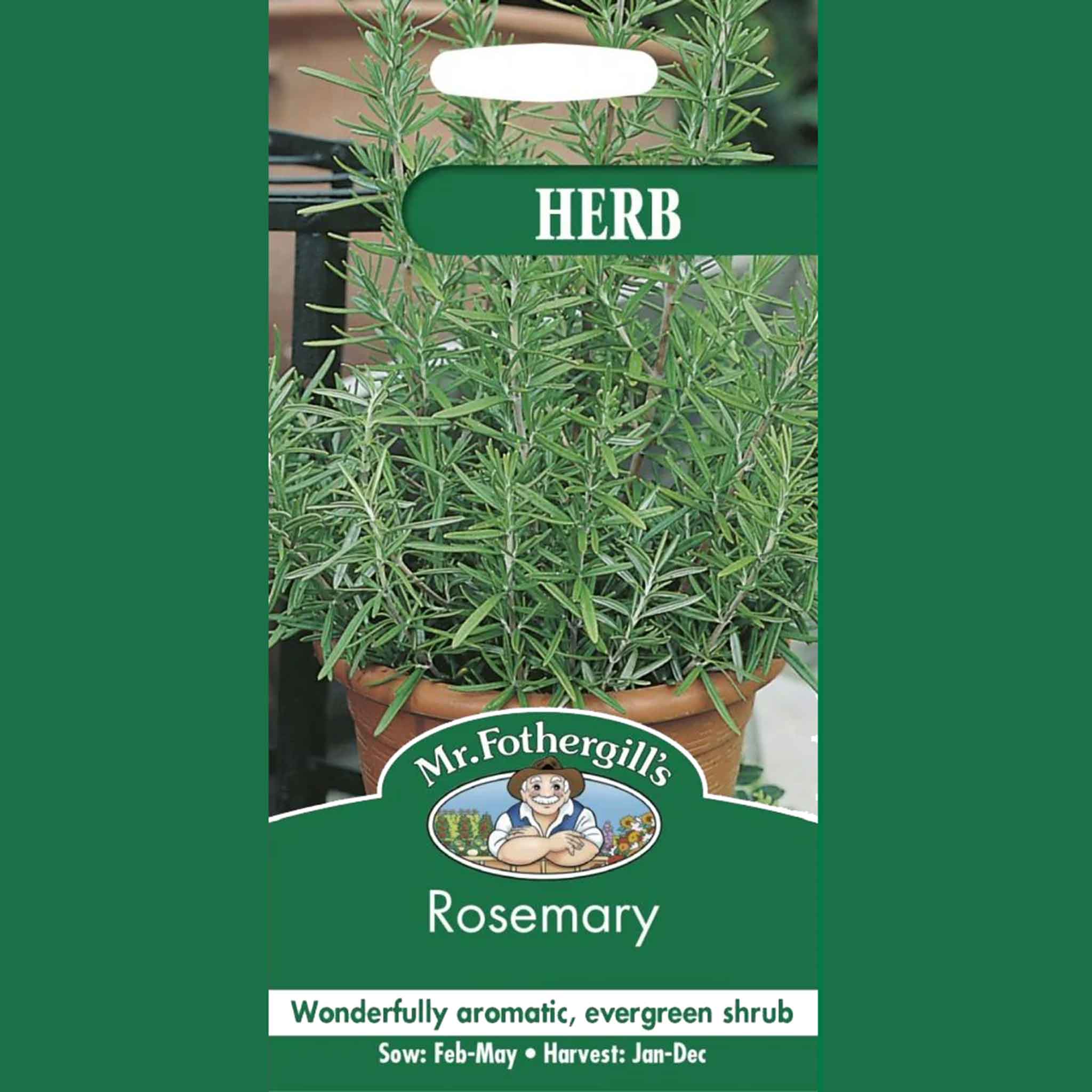18684-HERB-Rosemary