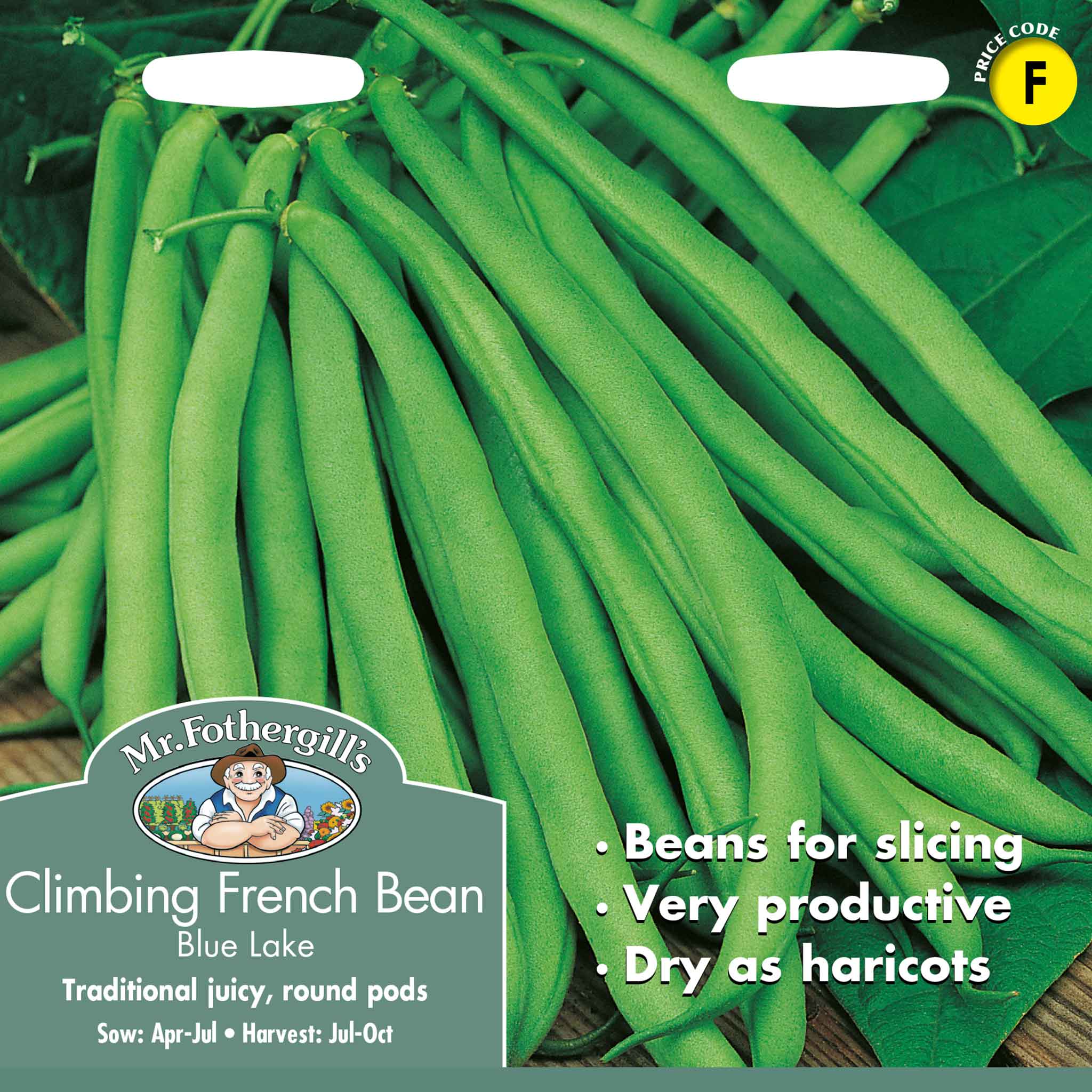 19020-Climbing-French-Bean-Blue-Lake
