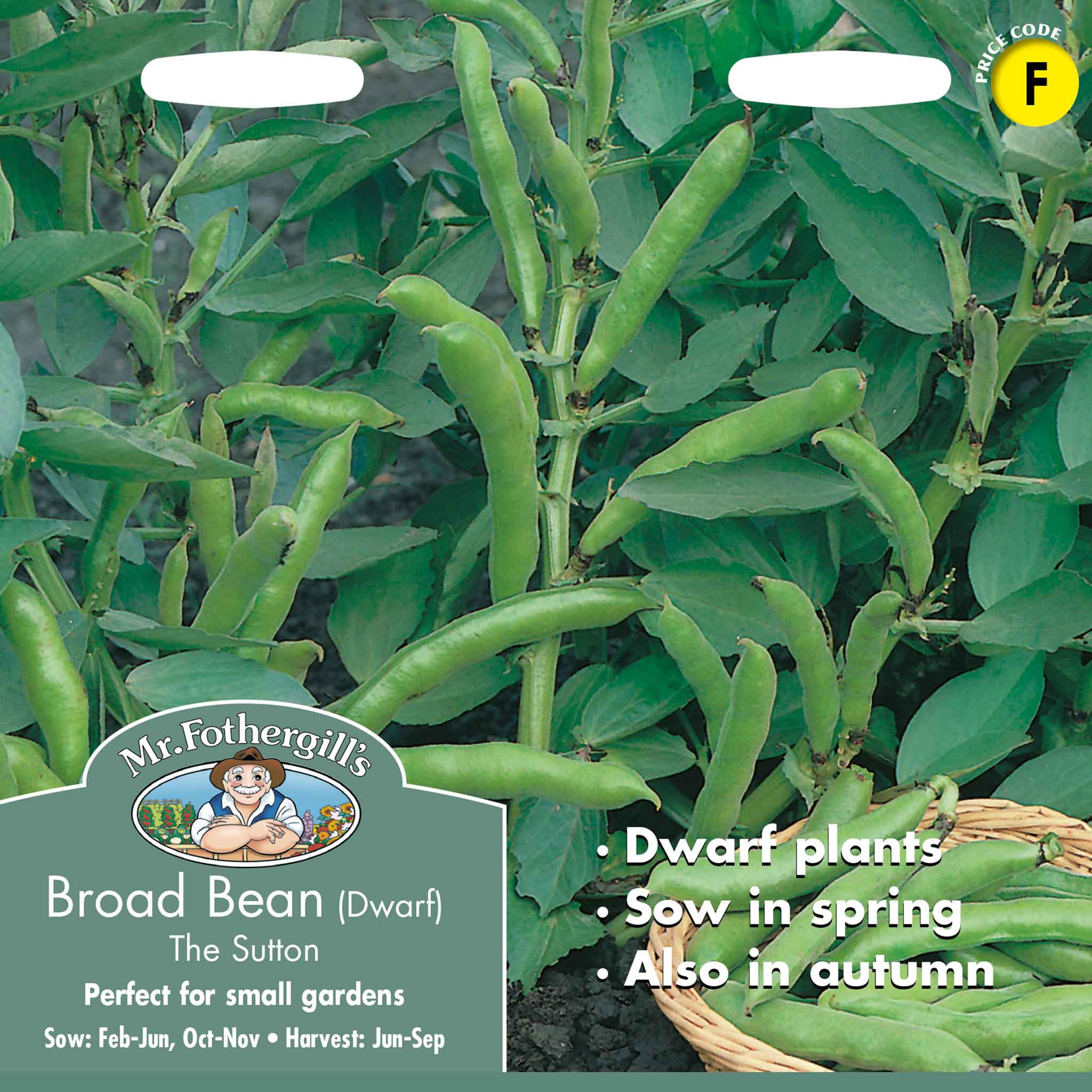 19286-Broad-Bean-The-Sutton-(Dwarf)