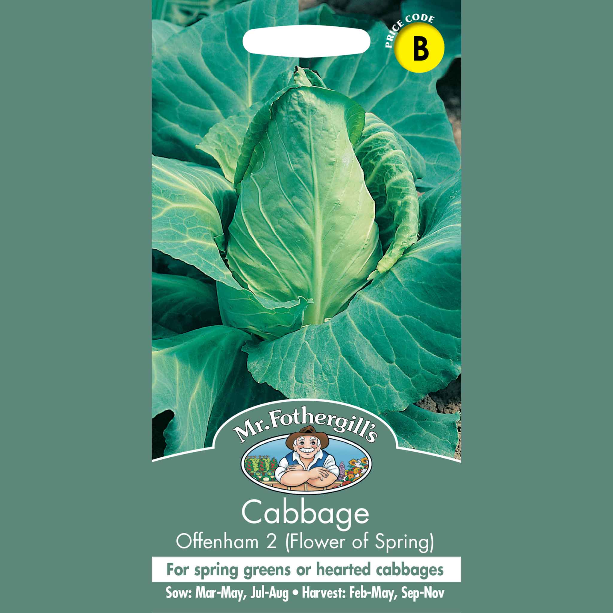 19647-Cabbage-Offenham-2-Flower-of-Spring