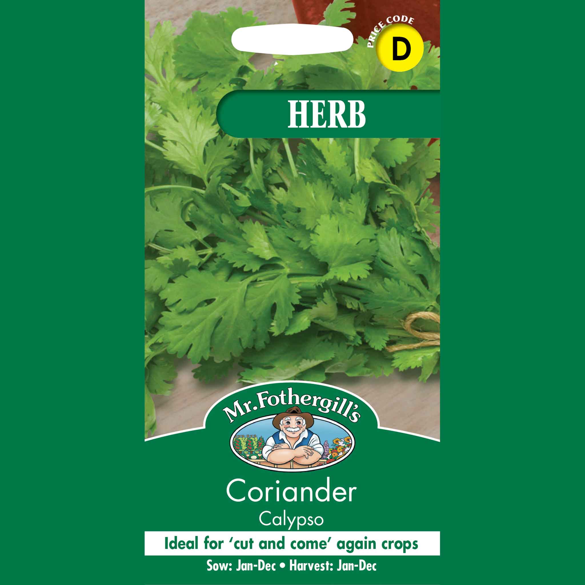 19921-Coriander-Calypso
