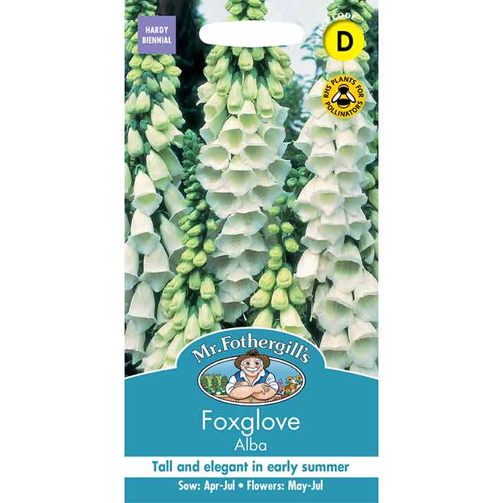 21709-Foxglove-Alba