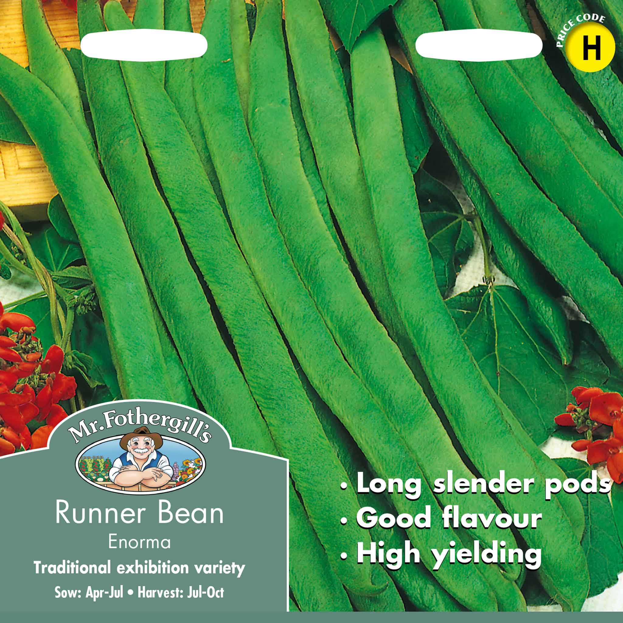 23137-Runner-Bean-Enorma