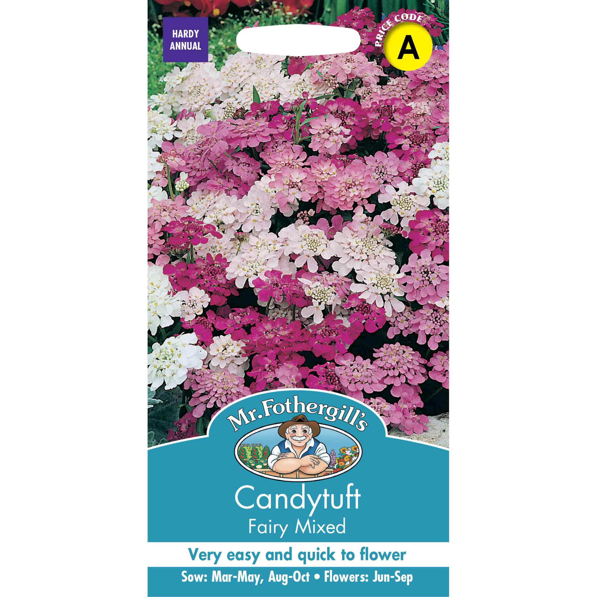 23495-Candytuft-Fairy-Mixed