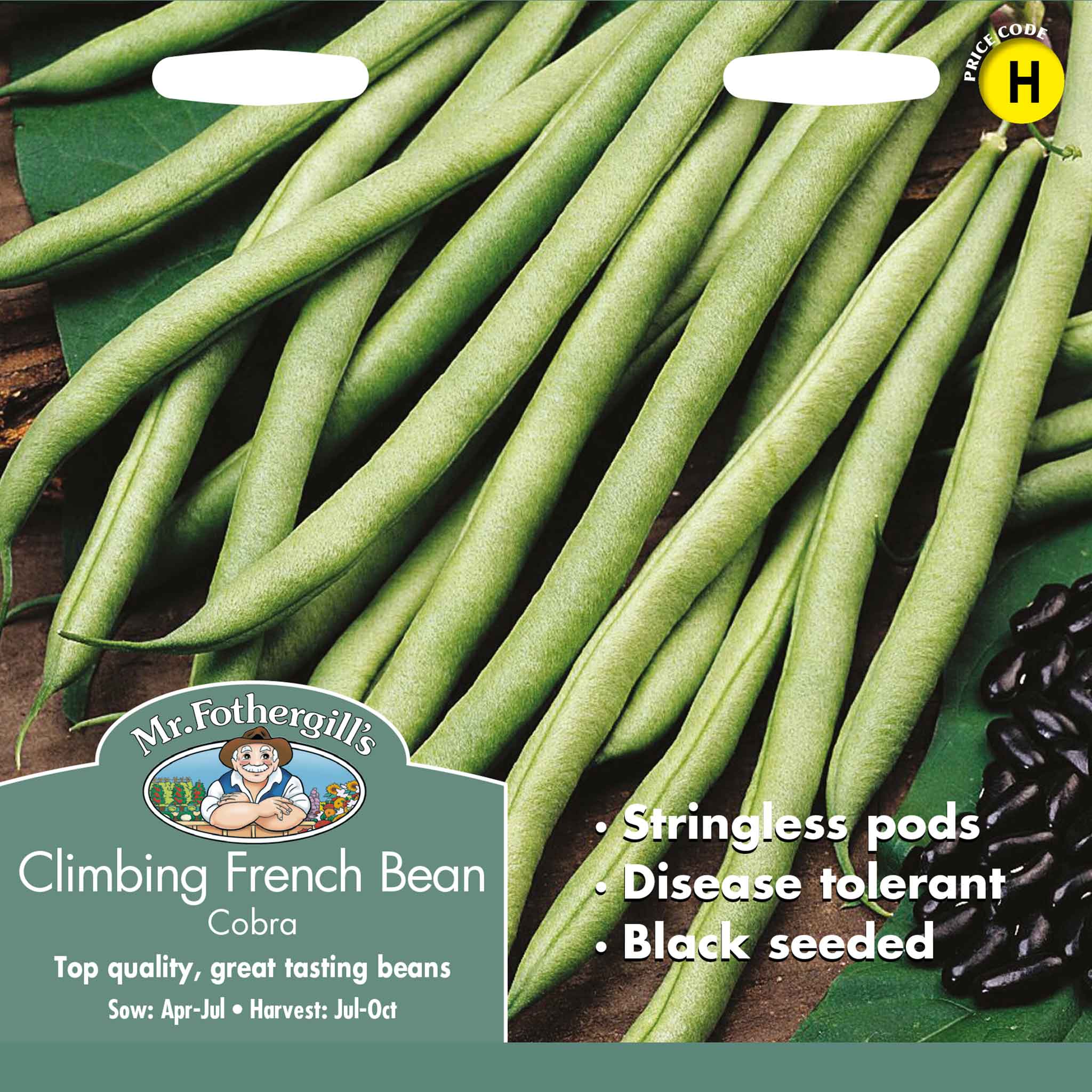 23562-Climbing-French-Bean-Cobra