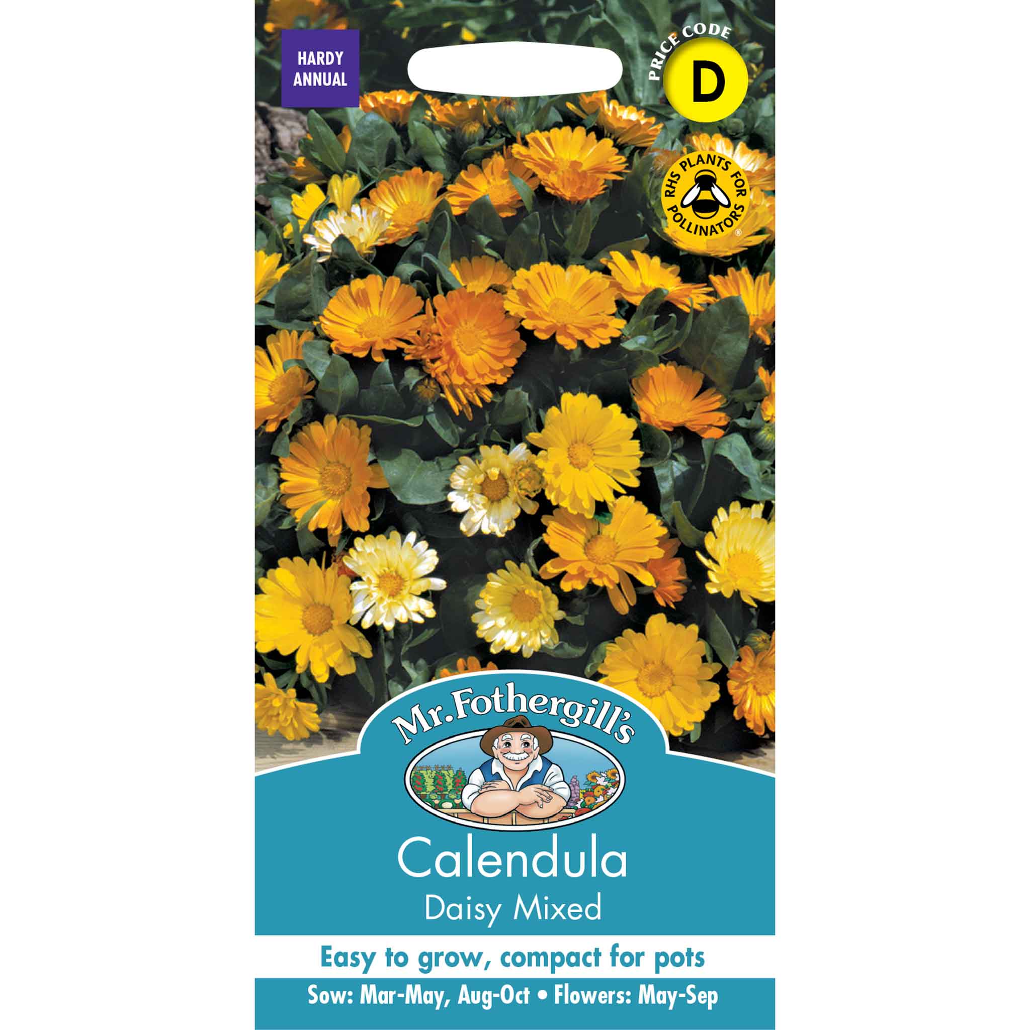 23683-Calendula-Daisy-Mixed