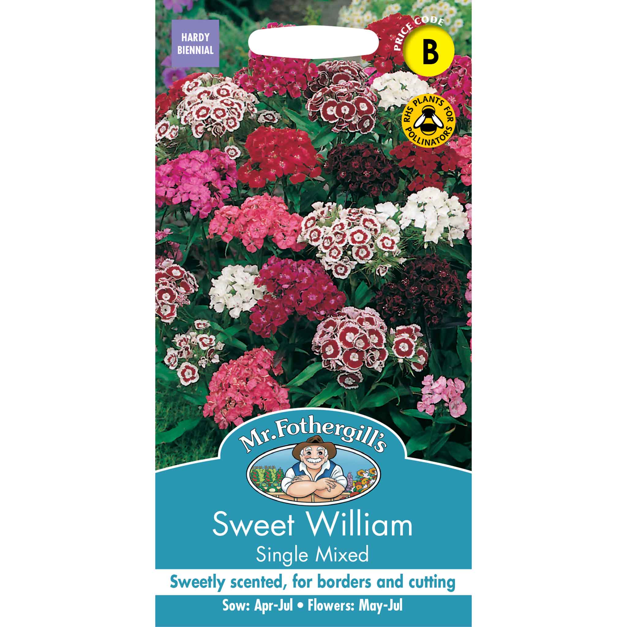 23765-Sweet-William-Single-Mixed
