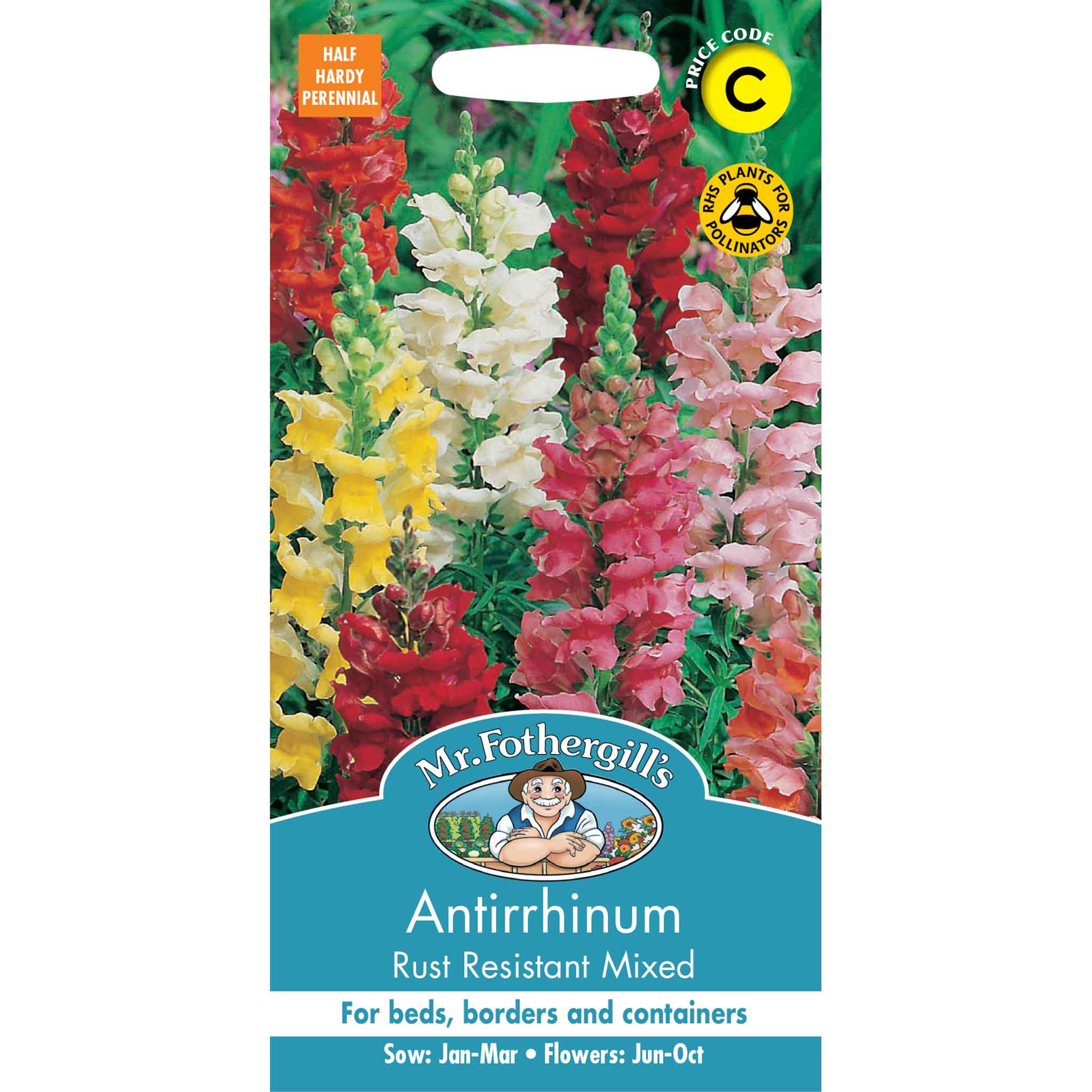 23909-Antirrhinum-Rust-Resistant-Mixed