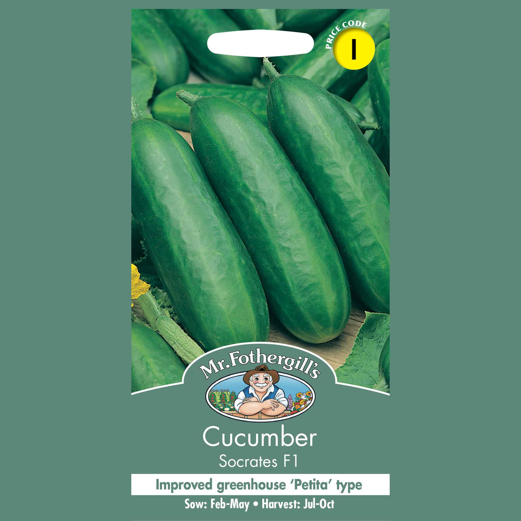 24186-Cucumber-Socrates-F1