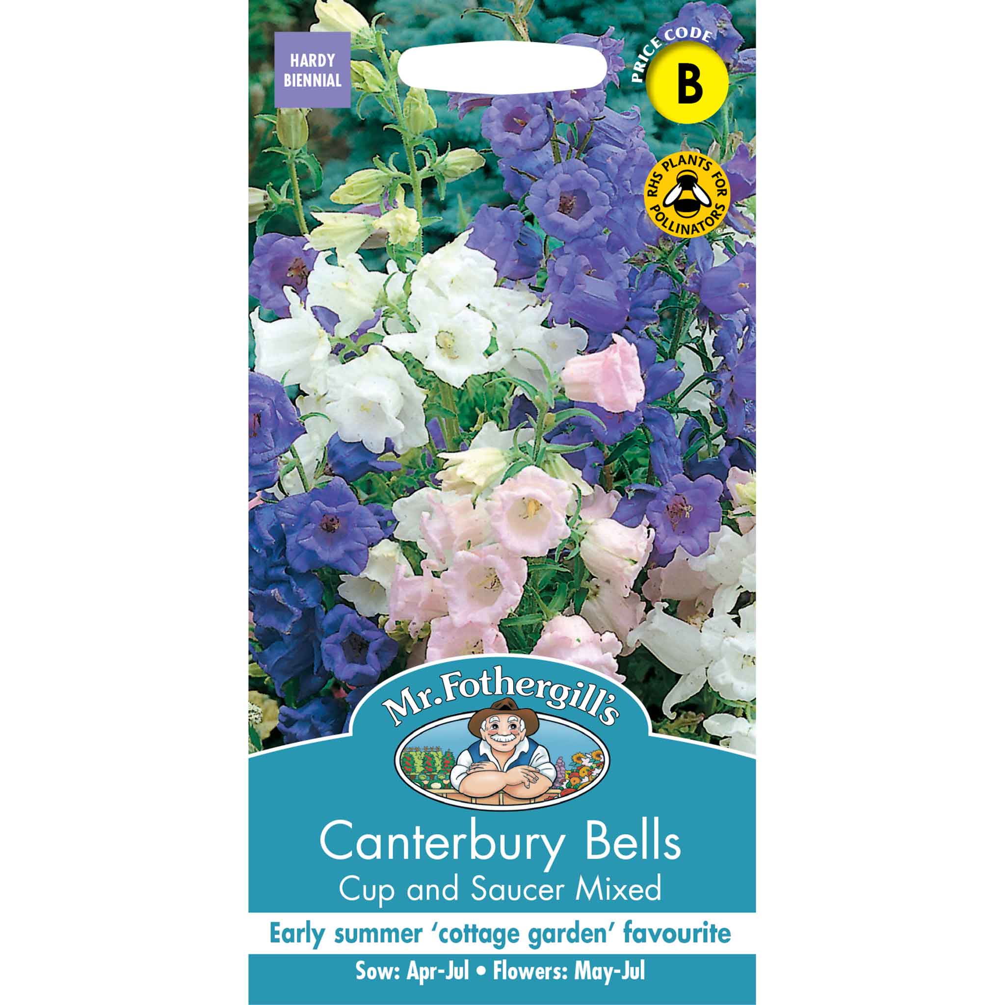 24491-Canterbury-Bells-Cup-and-Saucer-Mixed