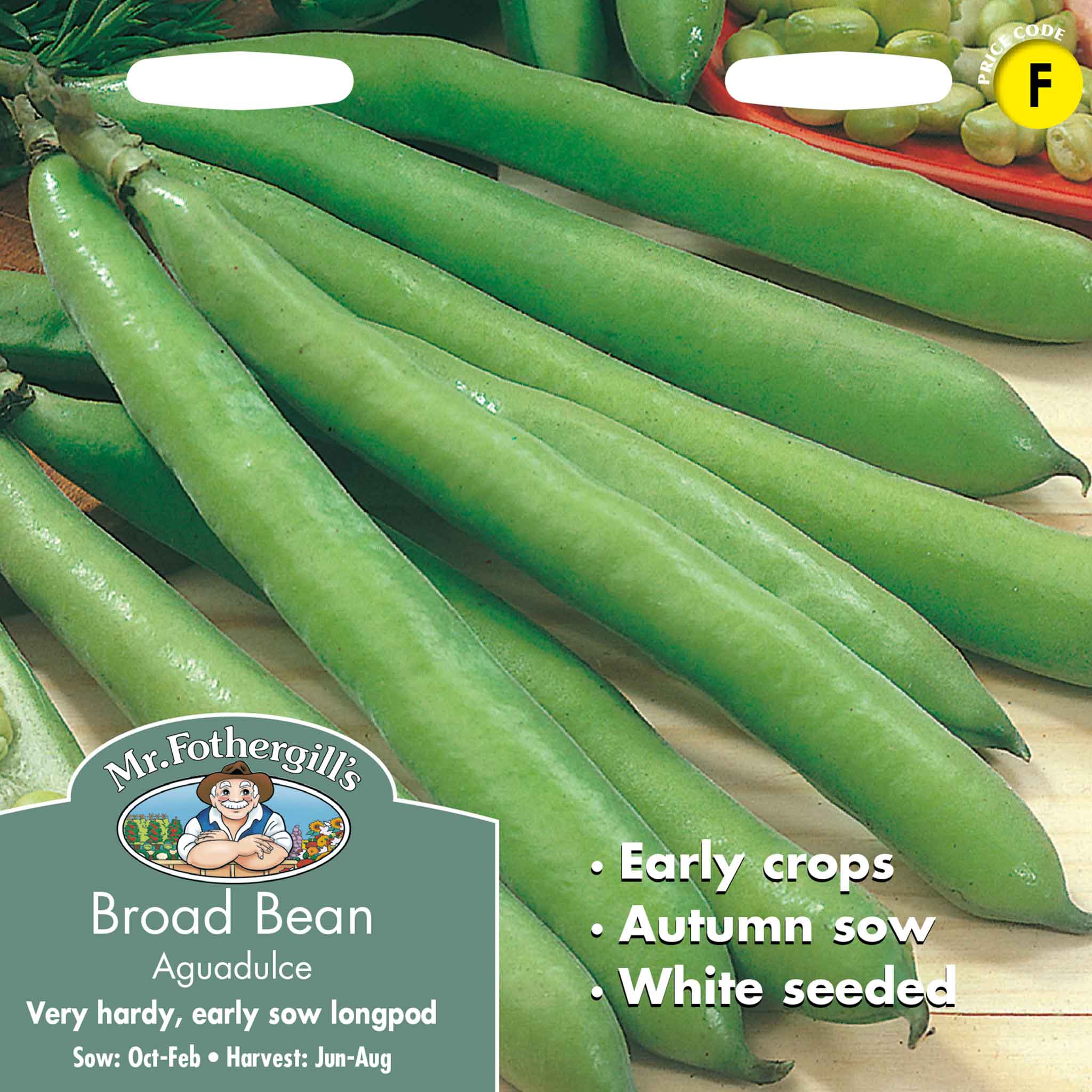 25035-Broad-Bean-Aguadulce