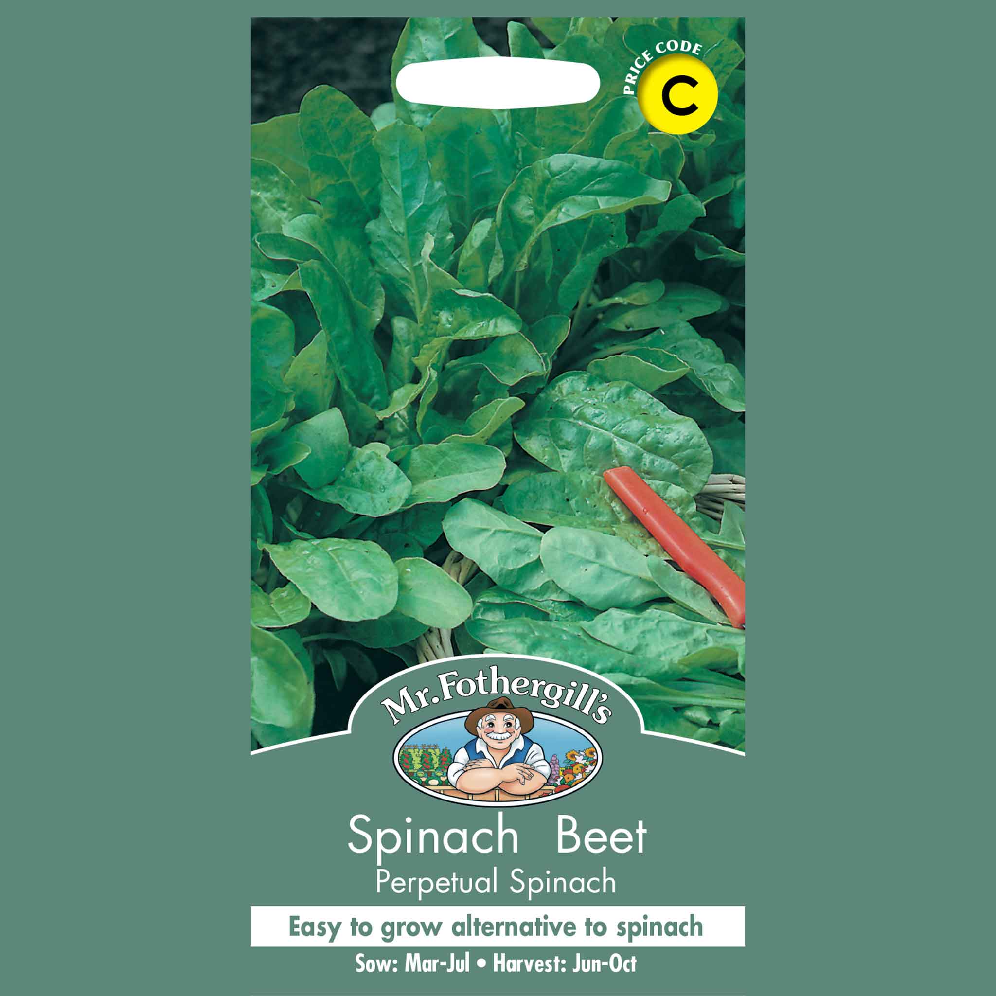 25625-Spinach-Beet-Perpetual-Spinach