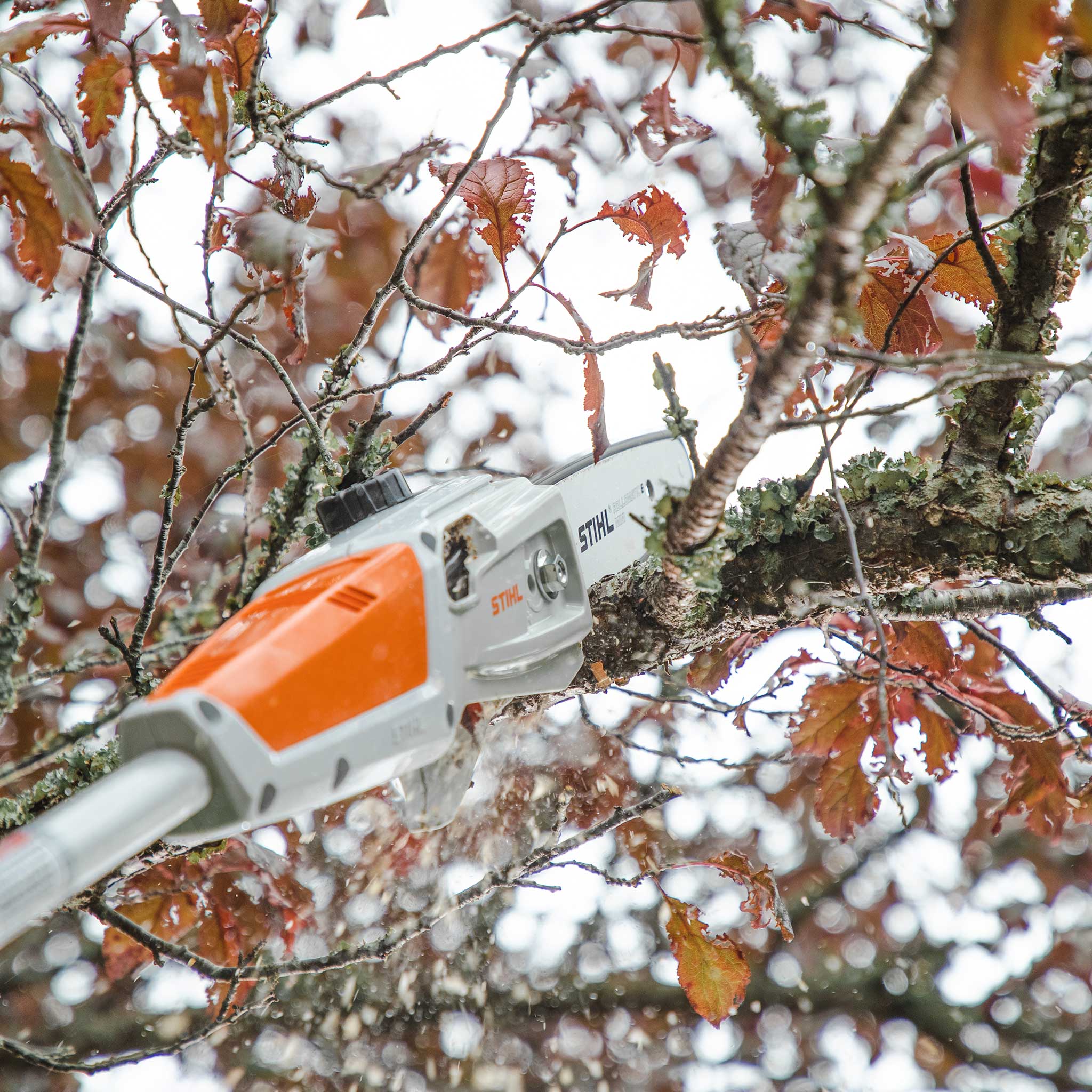 89622_HTA50_Act_003_US