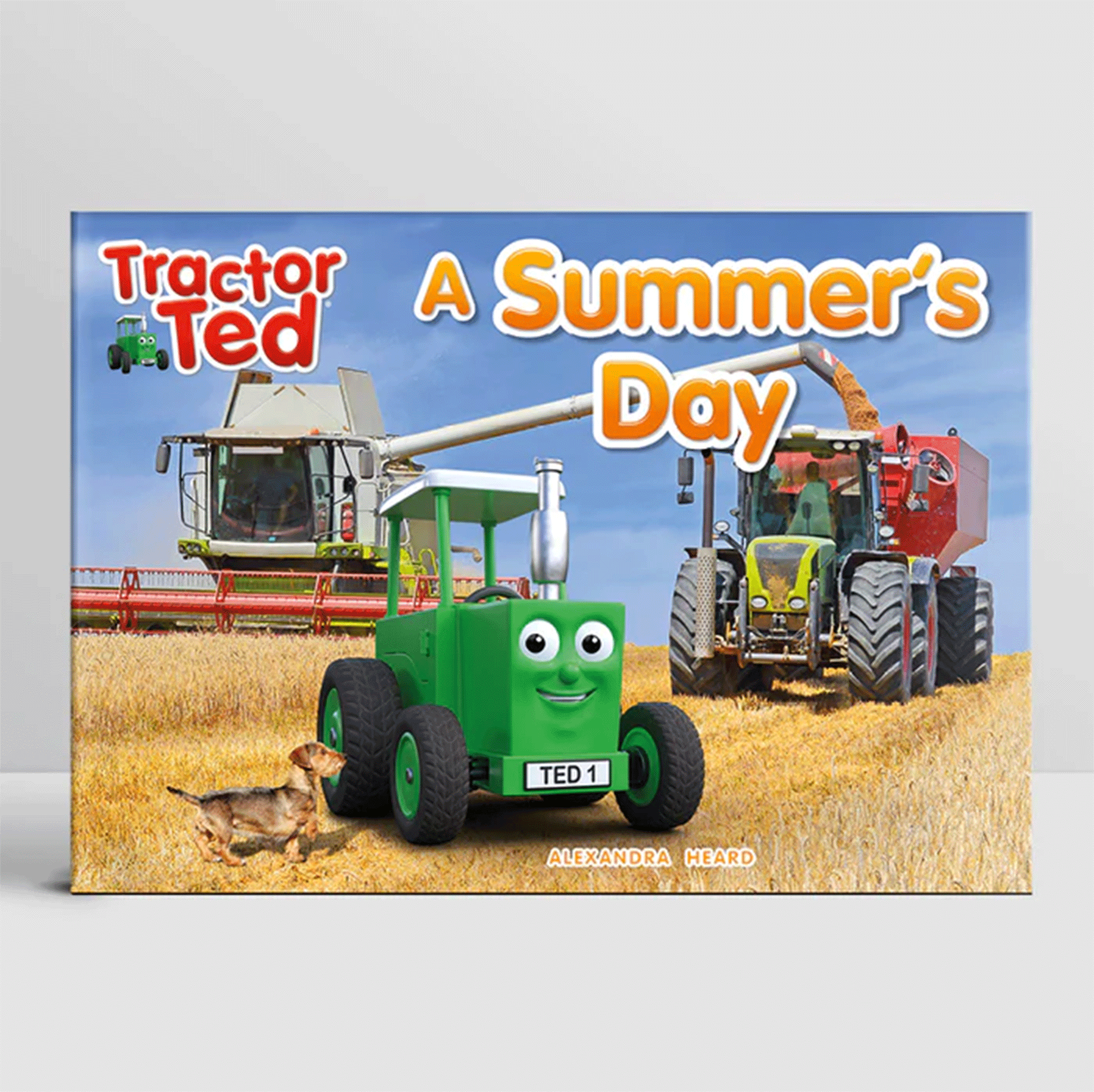Tractor Ted A Summer's Day Storybook