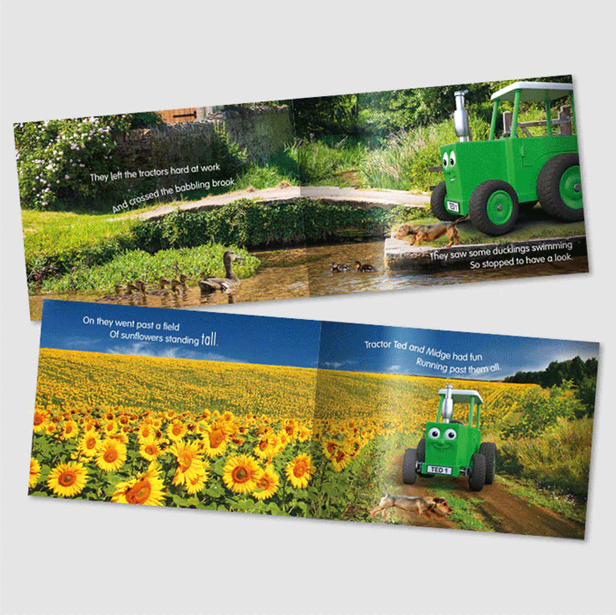 Tractor Ted A Summer's Day Storybook