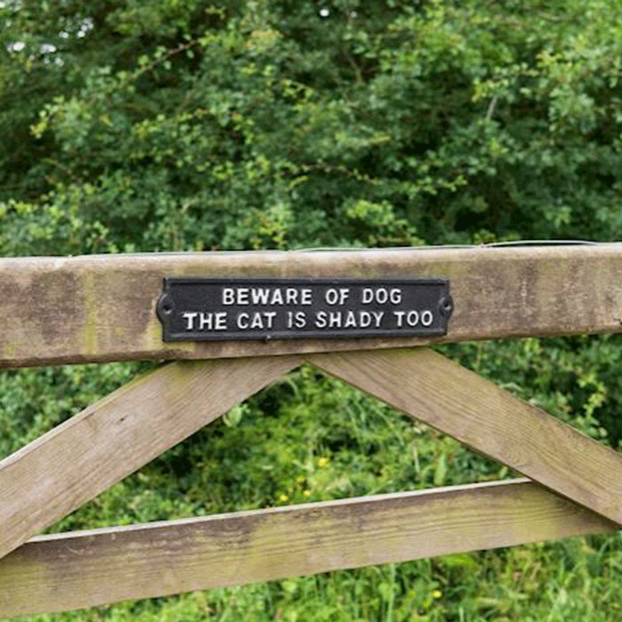 Ascalon Cast Iron 'Beware of Dog The Cat is Shady Too' Sign