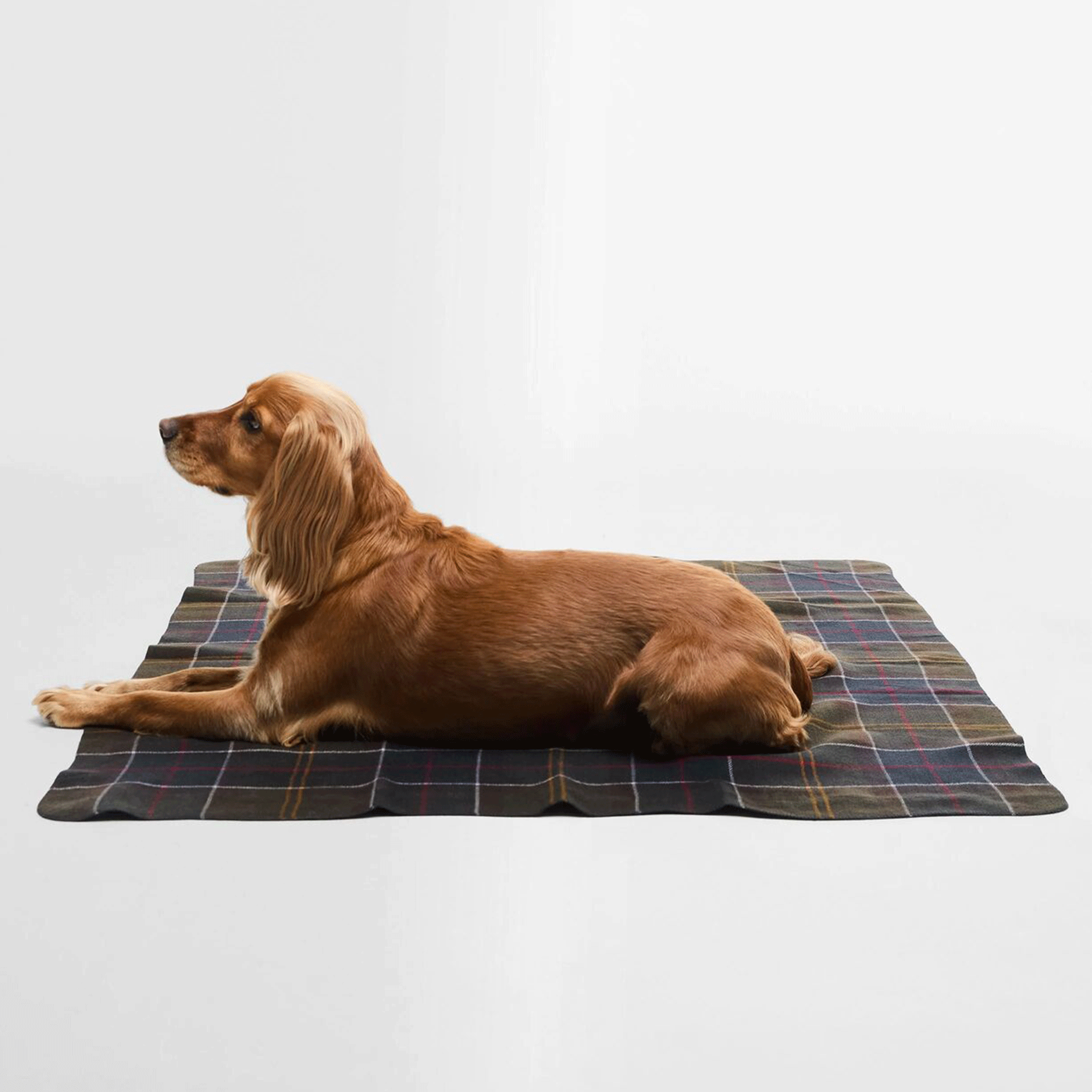 Barbour Classic Tartan Dog Blanket