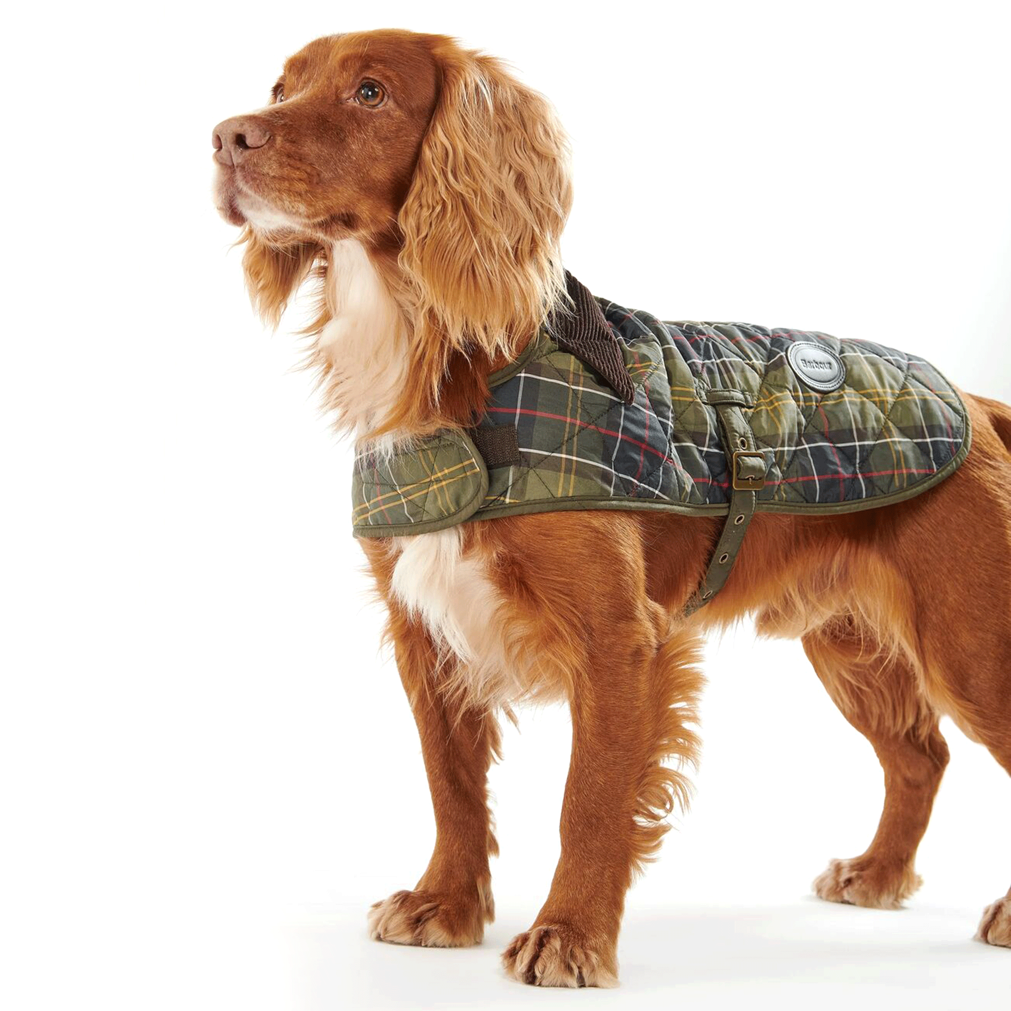 Barbour Classic Tartan Dog Coat