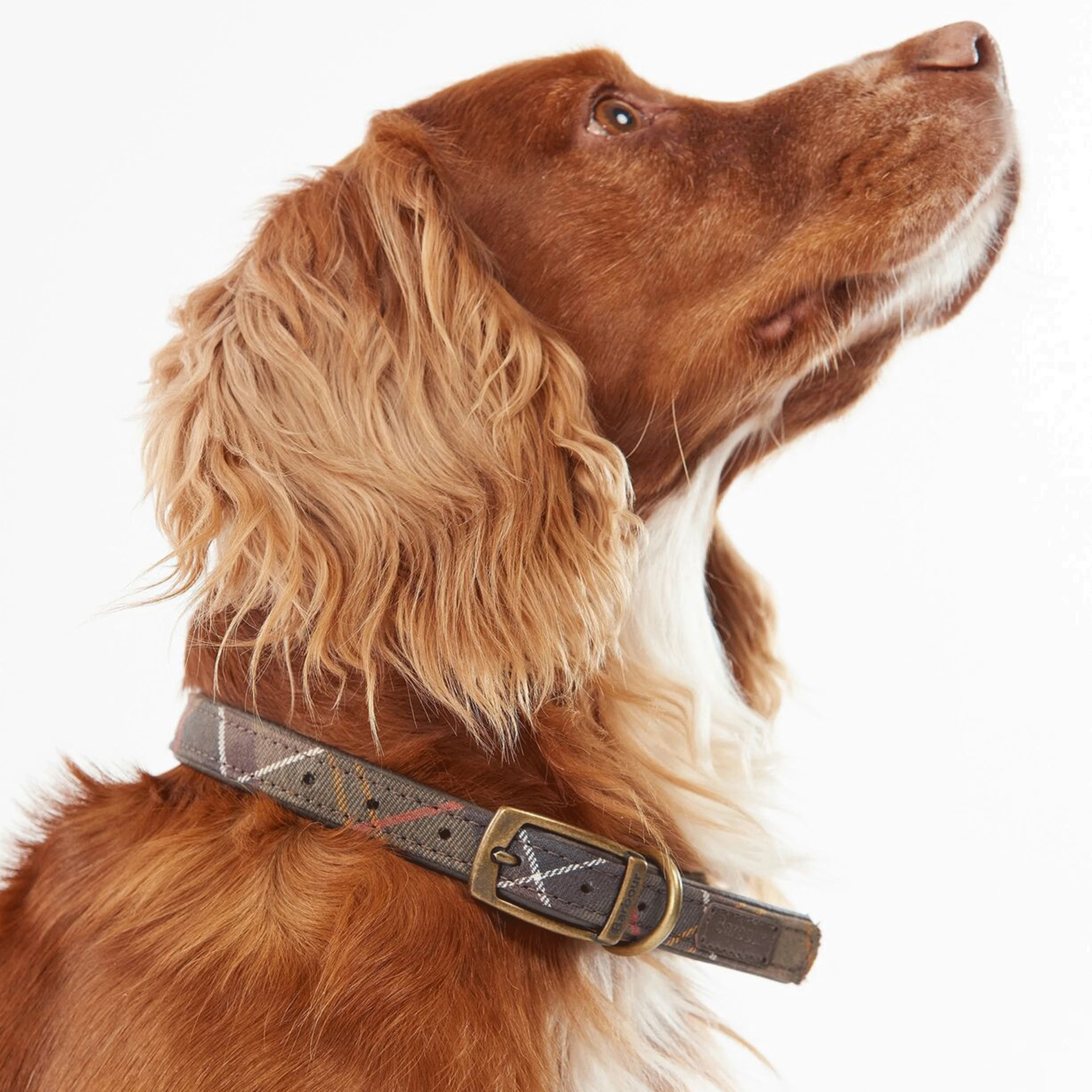 Barbour Classic Tartan Dog Collar