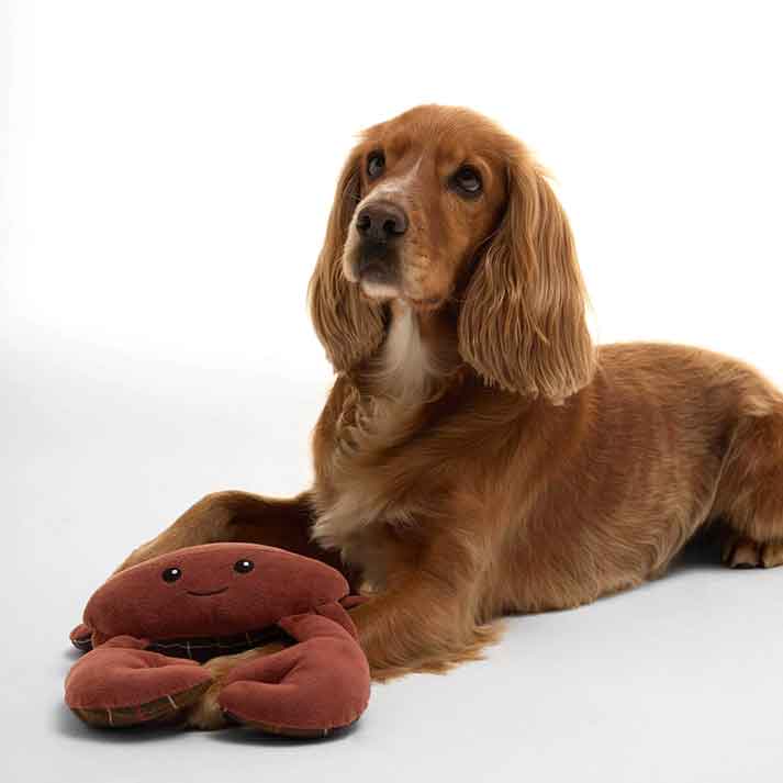 Barbour Crab Soft Dog Toy
